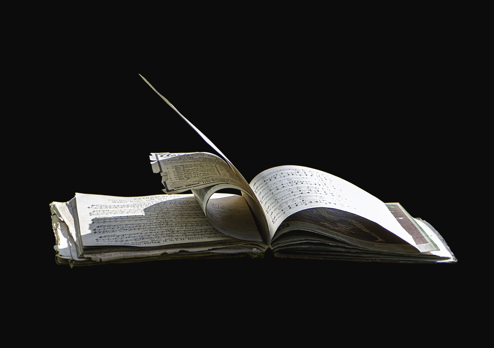 Nikon D5600 sample photo. Sheet music, music book photography