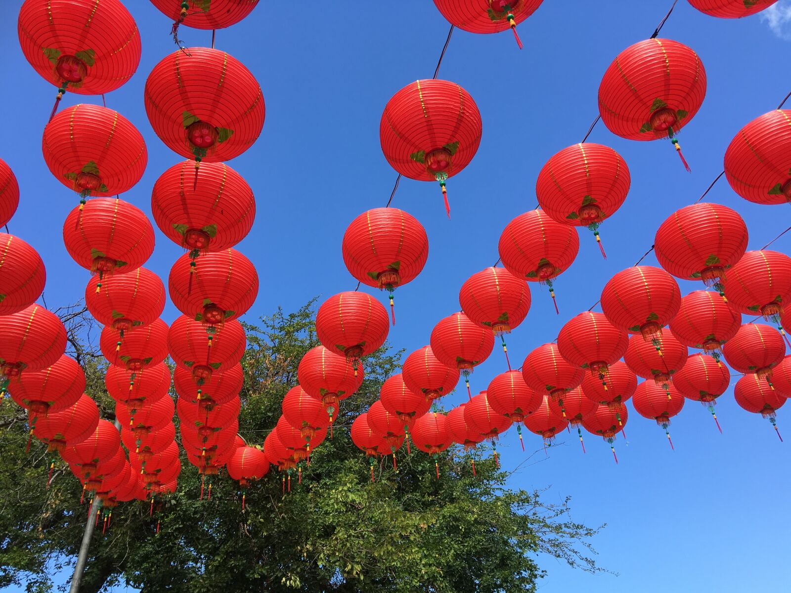Apple iPhone 6s Plus sample photo. Taichung park, lantern festival photography
