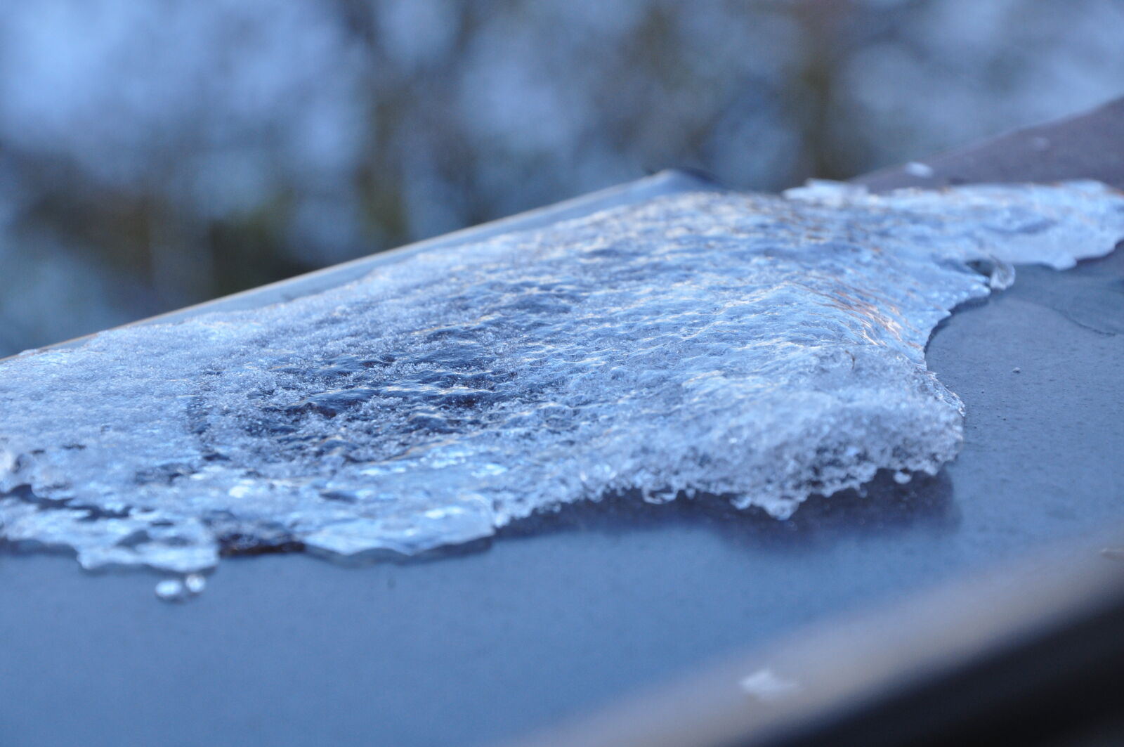 Nikon D90 sample photo. Blur, blurred, close, up photography