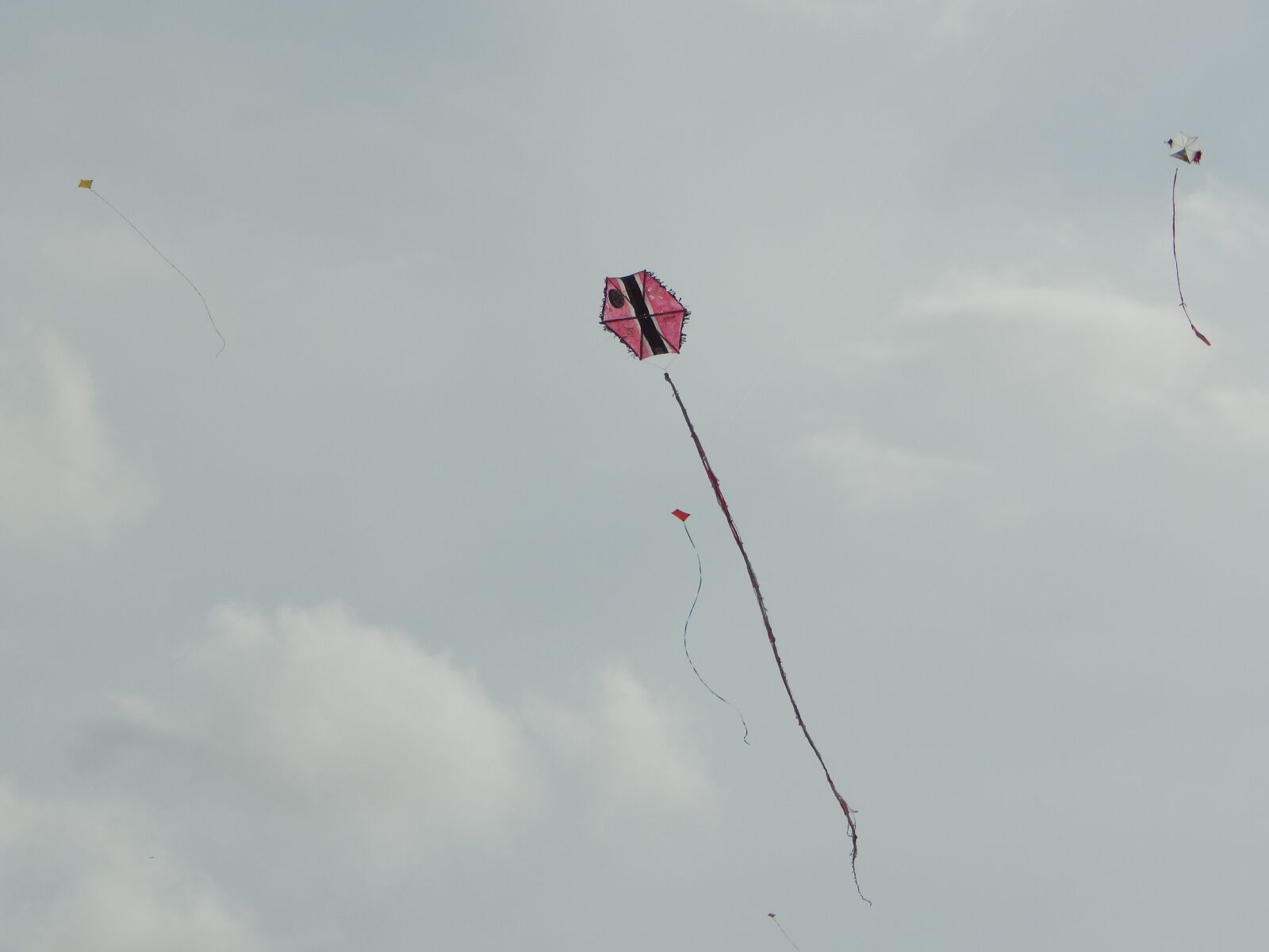 Nikon Coolpix L820 sample photo. Kite, kite flying, trinidad photography