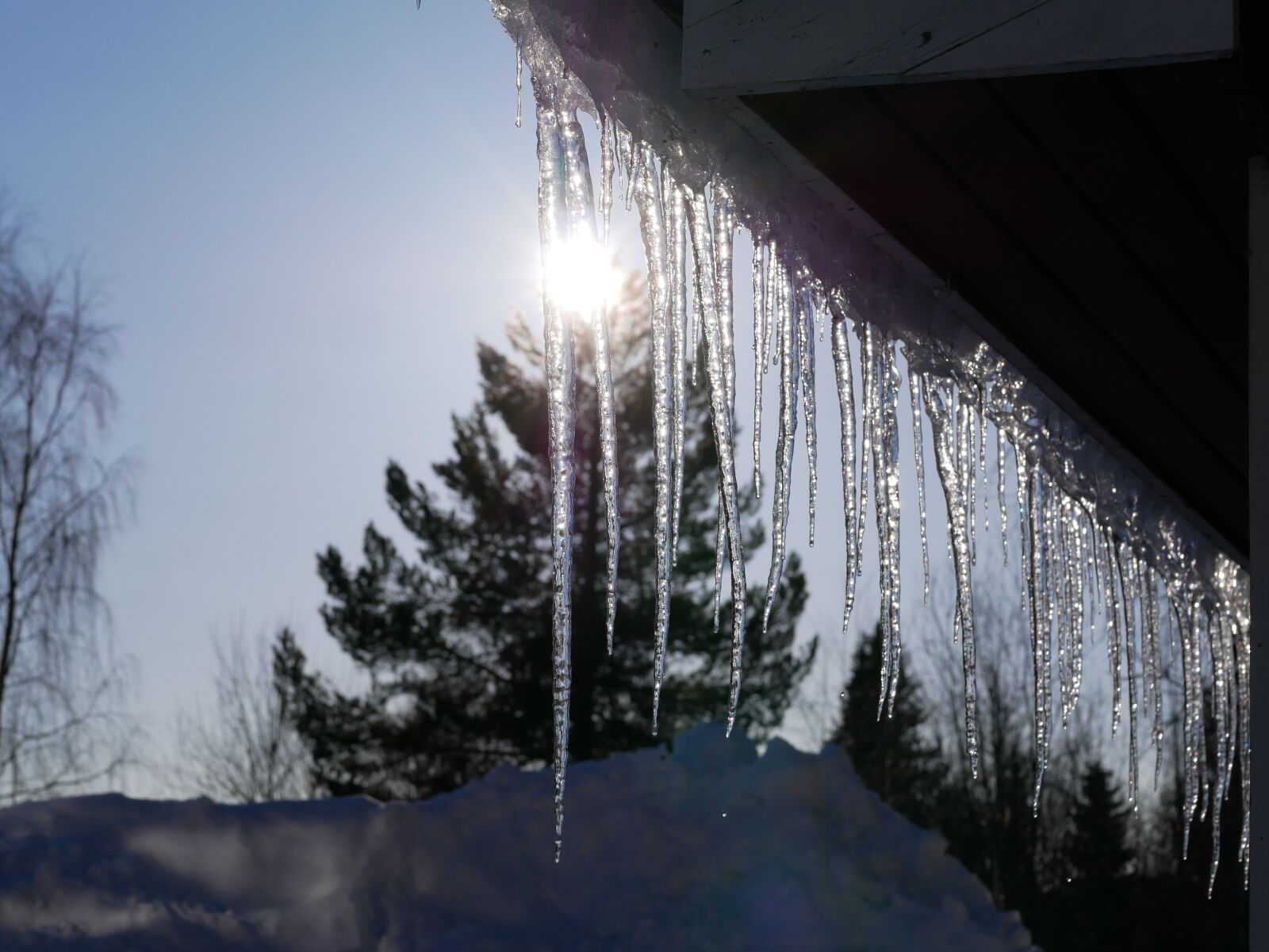 Panasonic Lumix DMC-GX85 (Lumix DMC-GX80 / Lumix DMC-GX7 Mark II) sample photo. Icicles, solar, winter photography