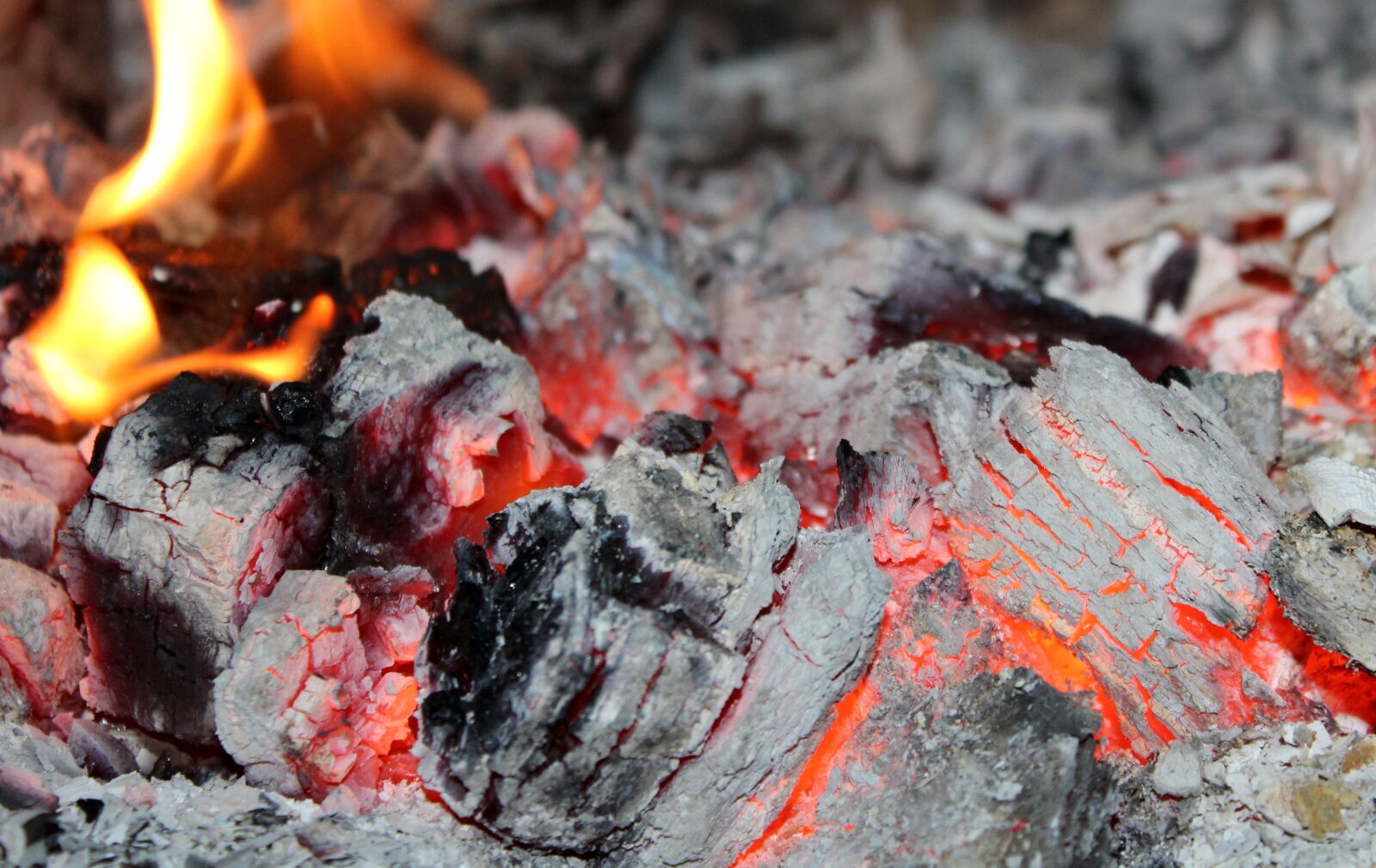 Canon EOS 1200D (EOS Rebel T5 / EOS Kiss X70 / EOS Hi) sample photo. Ash, hearth, damping photography