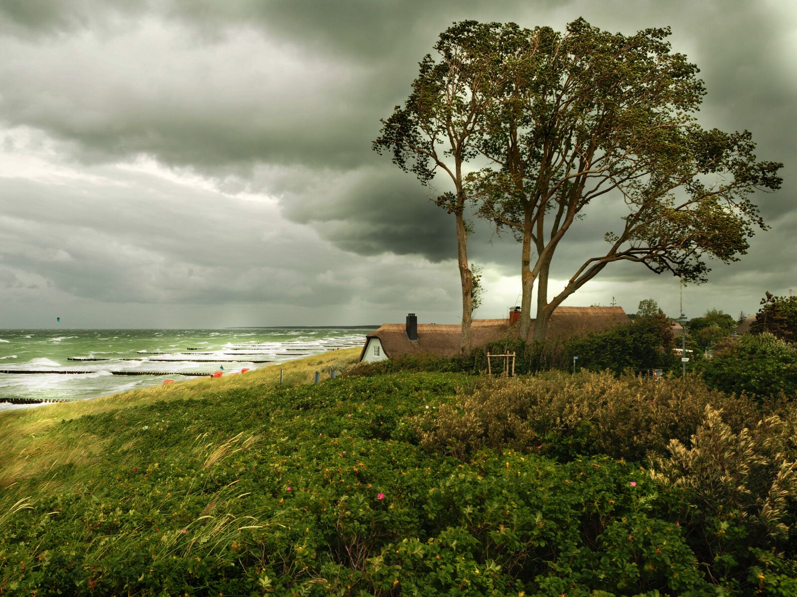 Olympus OM-D E-M10 sample photo. Ahrenshoop, baltic sea, thatched photography