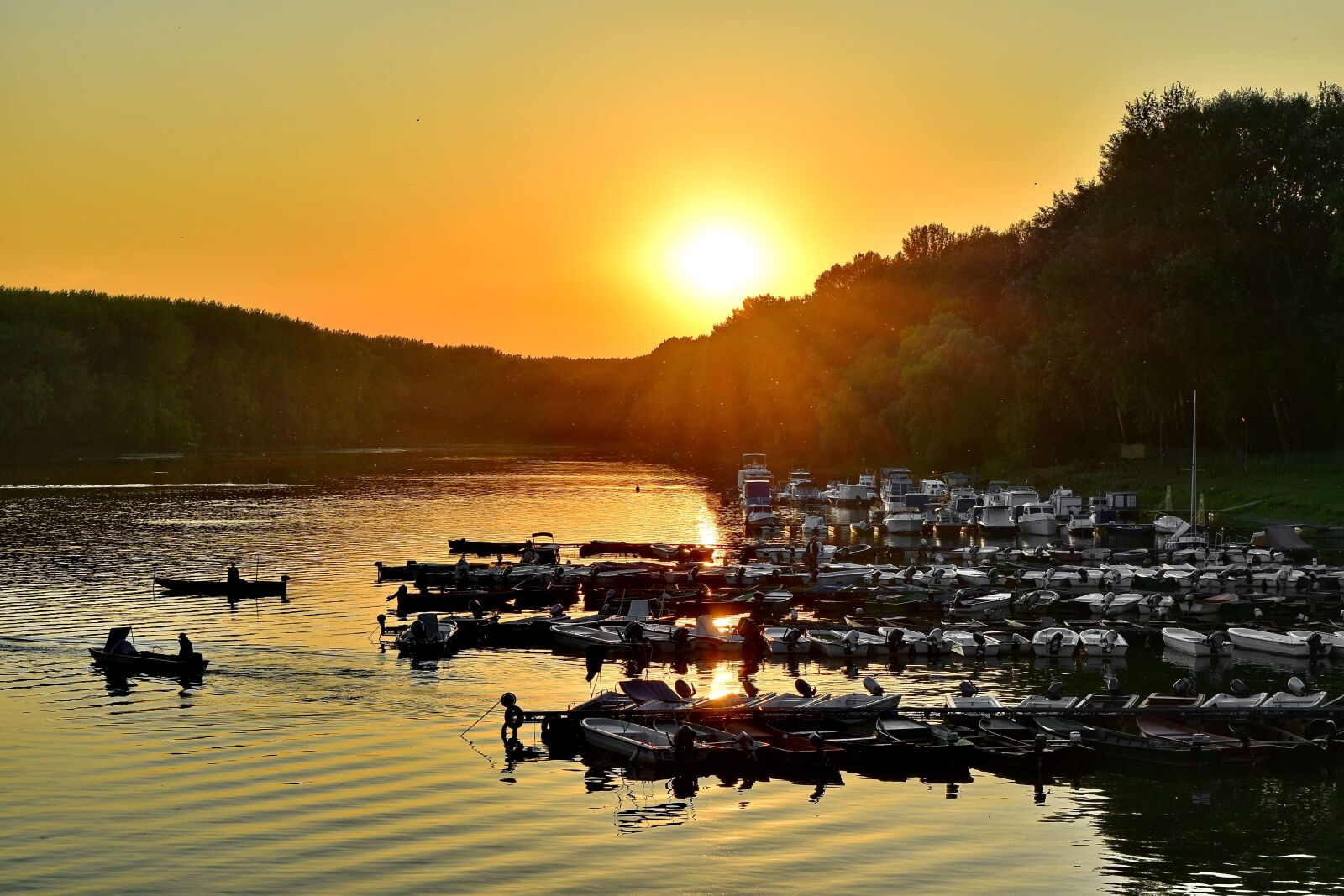 Nikon D5500 sample photo. Evening, fisherman, forest, marina photography