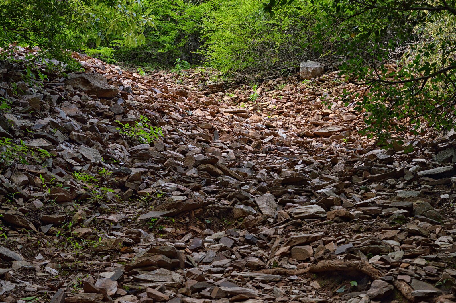 Nikon D3200 sample photo. Nature, stones, backdrop photography