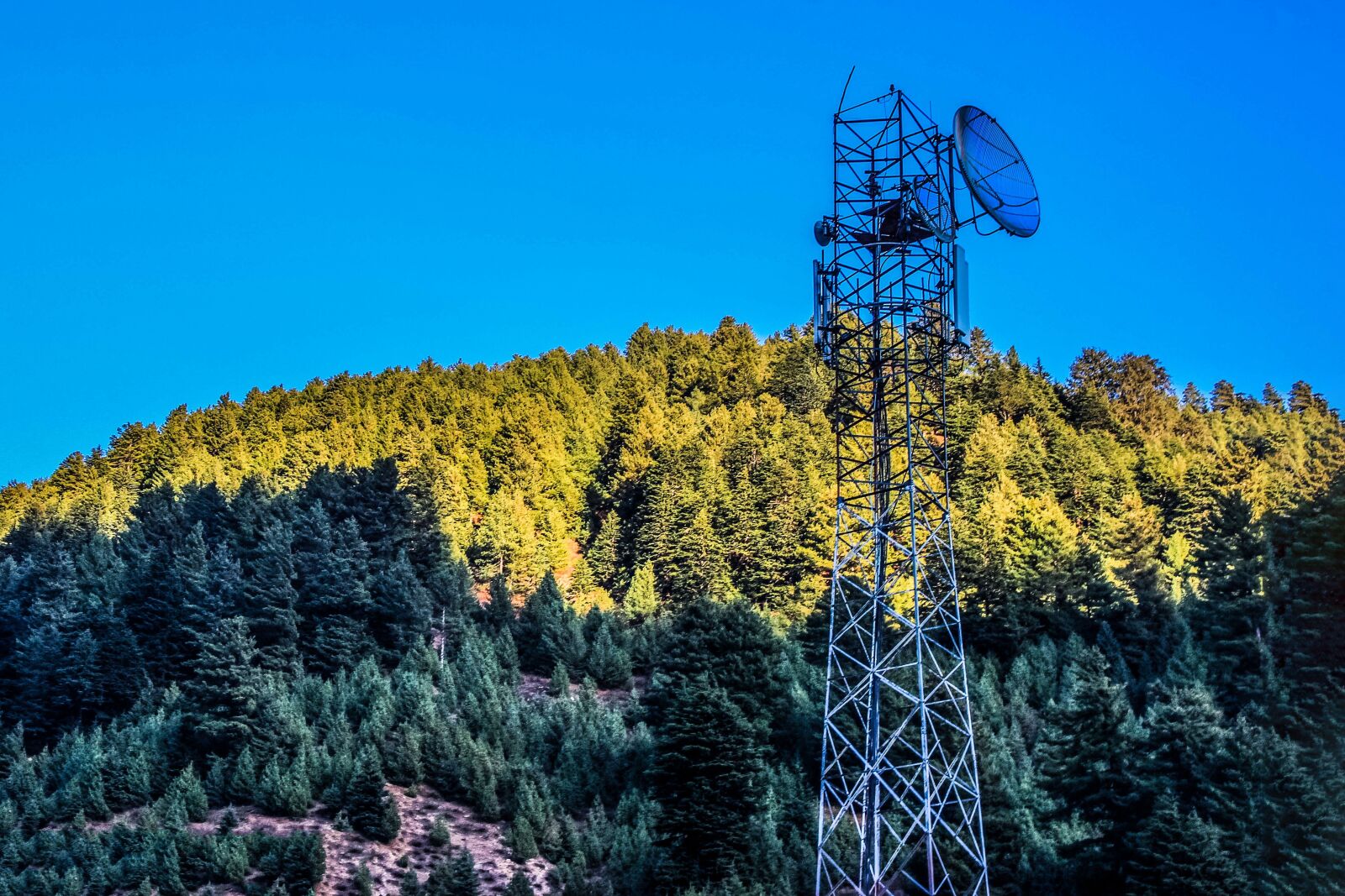 Canon EOS 600D (Rebel EOS T3i / EOS Kiss X5) sample photo. Mountain, trees, landscape photography