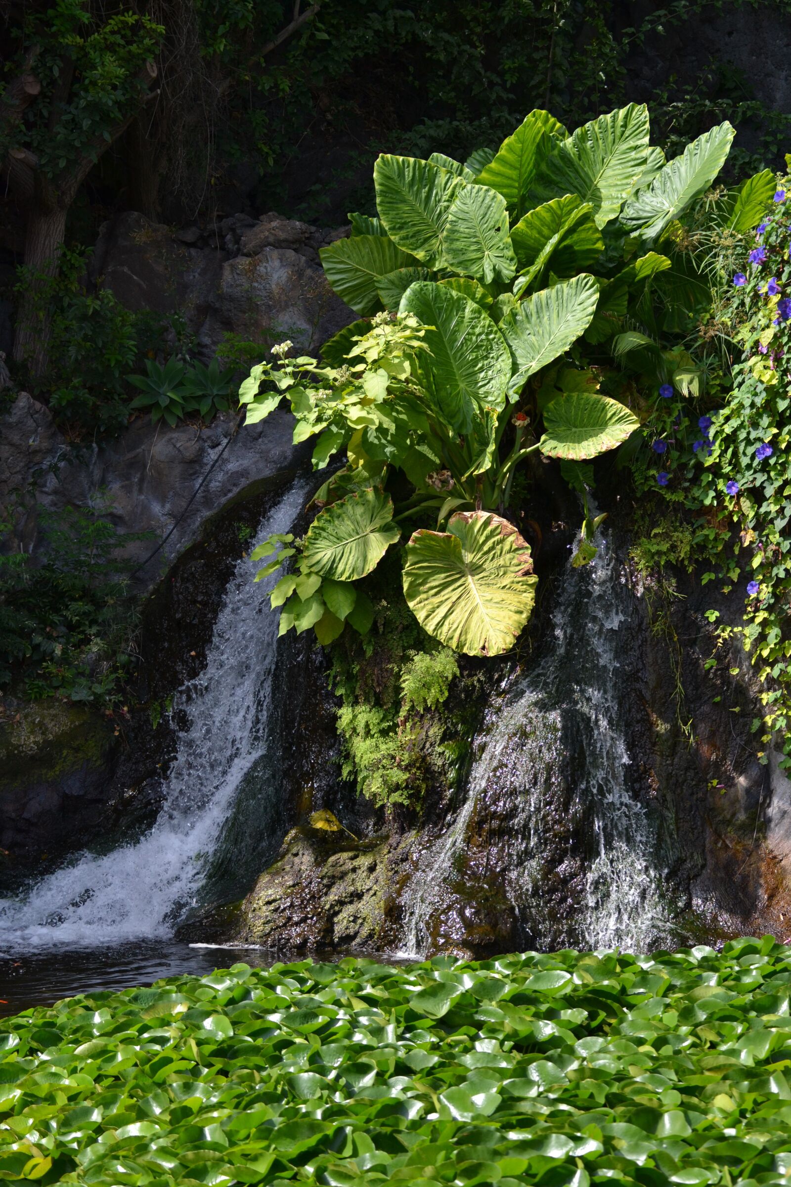 Nikon D3100 sample photo. Waterfall, nature, landscape photography