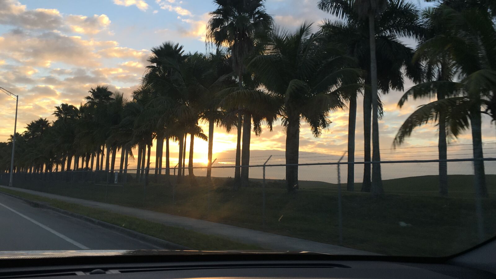 Apple iPhone 6s sample photo. Palms, sky, clouds photography