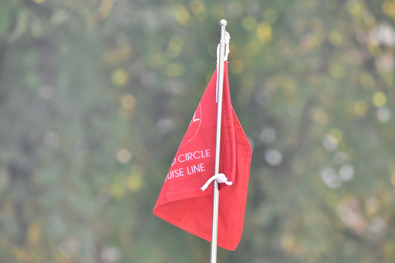 Nikon D5500 sample photo. Emblem, stick, flag, vertical photography