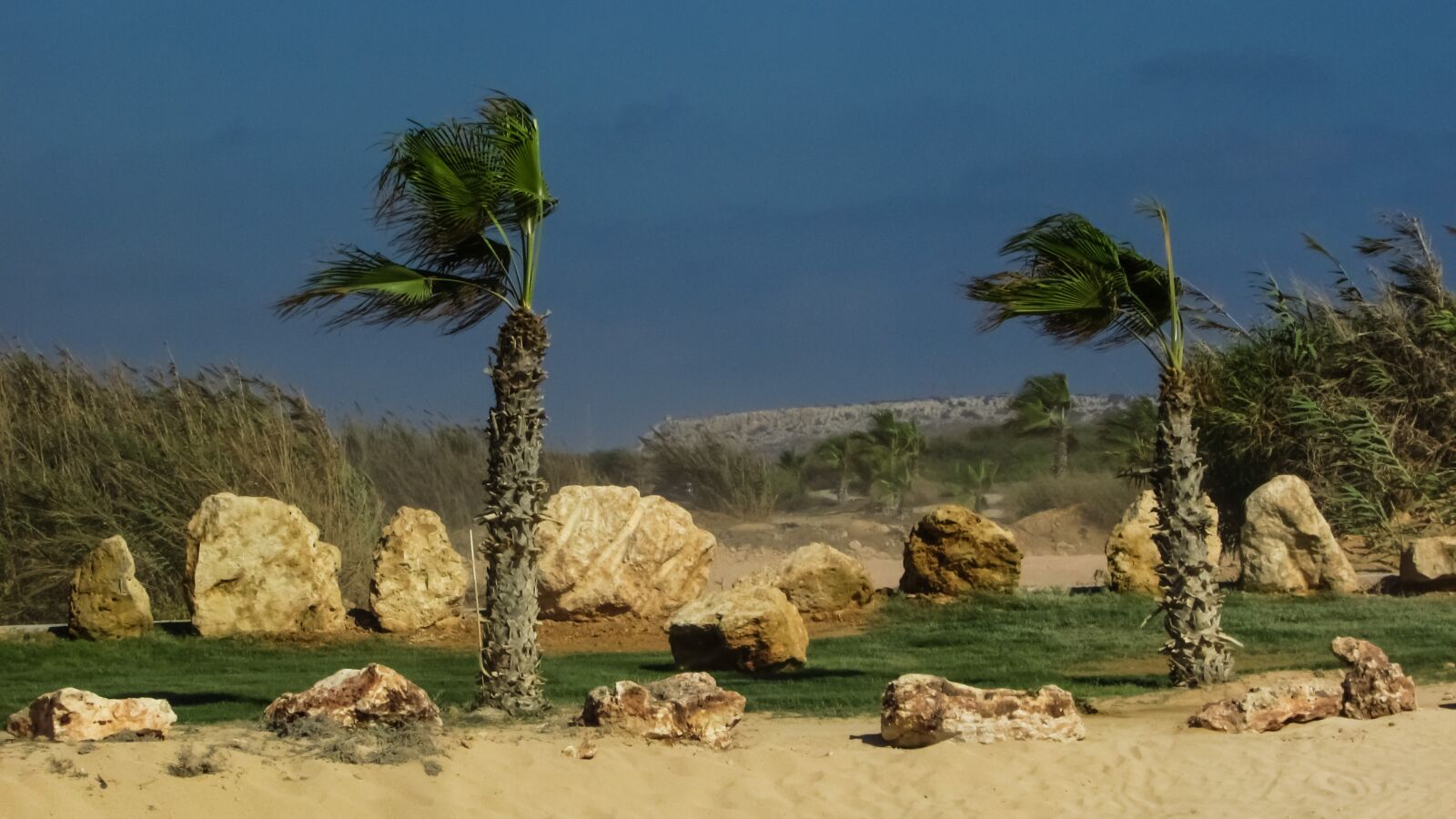 Canon PowerShot SX400 IS sample photo. Wind, dust, weather photography