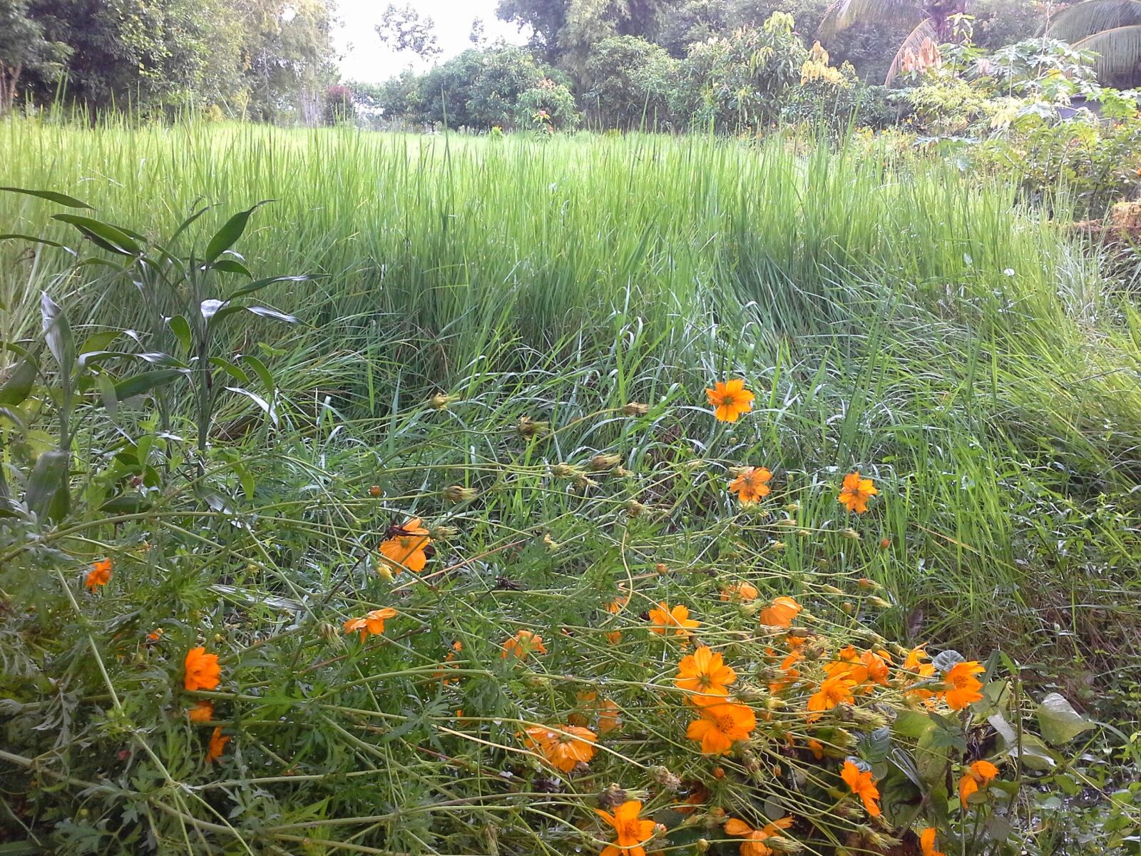 Samsung Galaxy Note 10.1 sample photo
