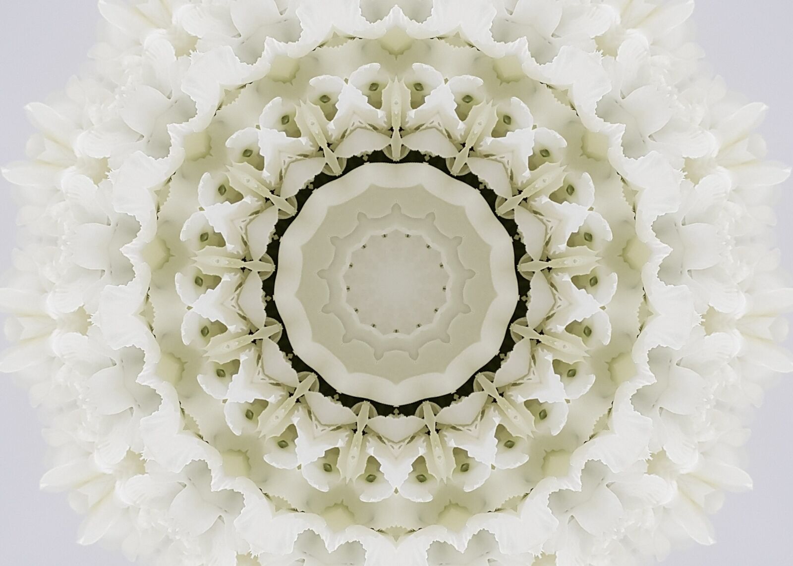 Samsung Galaxy S8 sample photo. Kaleidoscope, flower, bridal photography