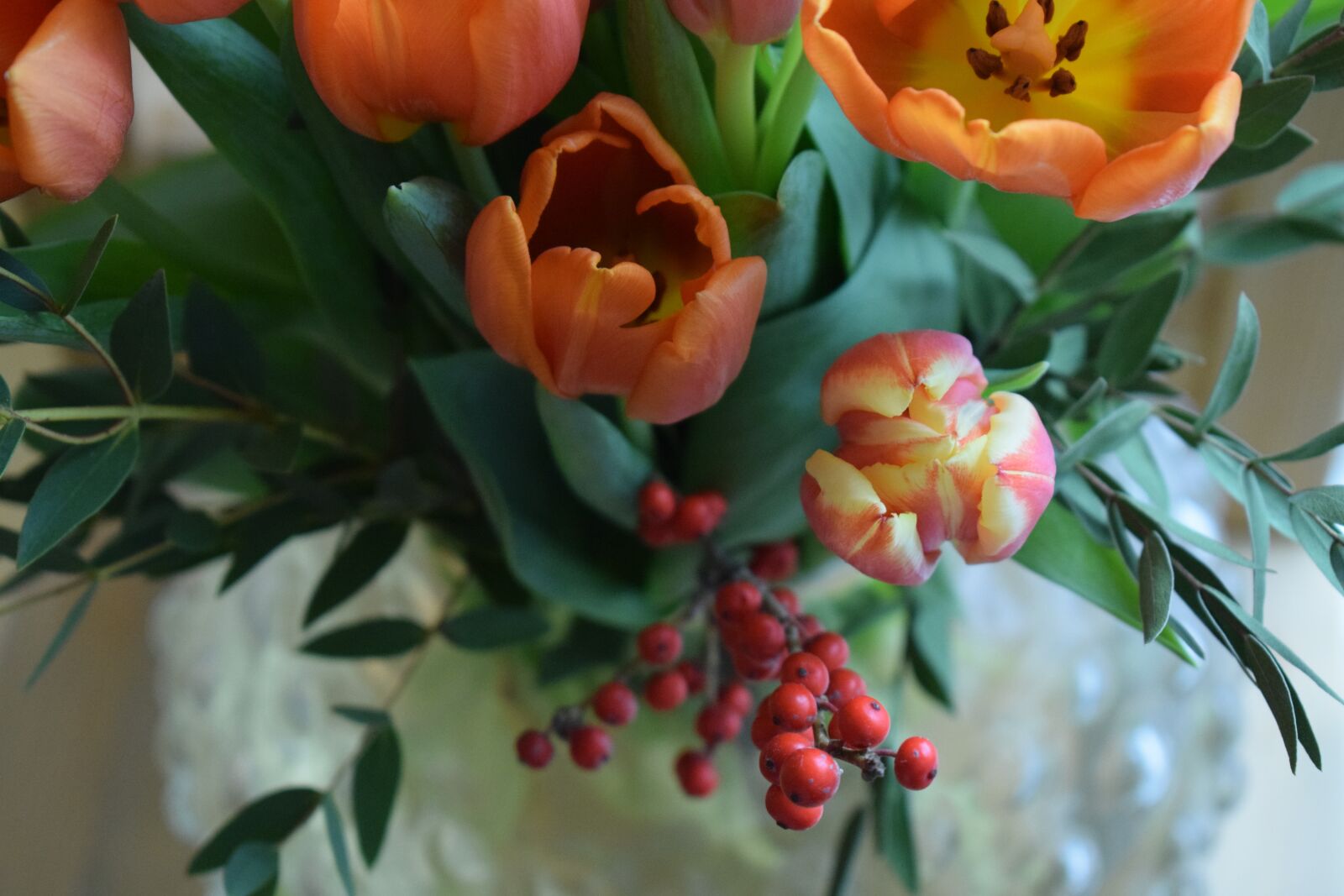 Nikon D3300 sample photo. Tulip, tulips, flower photography