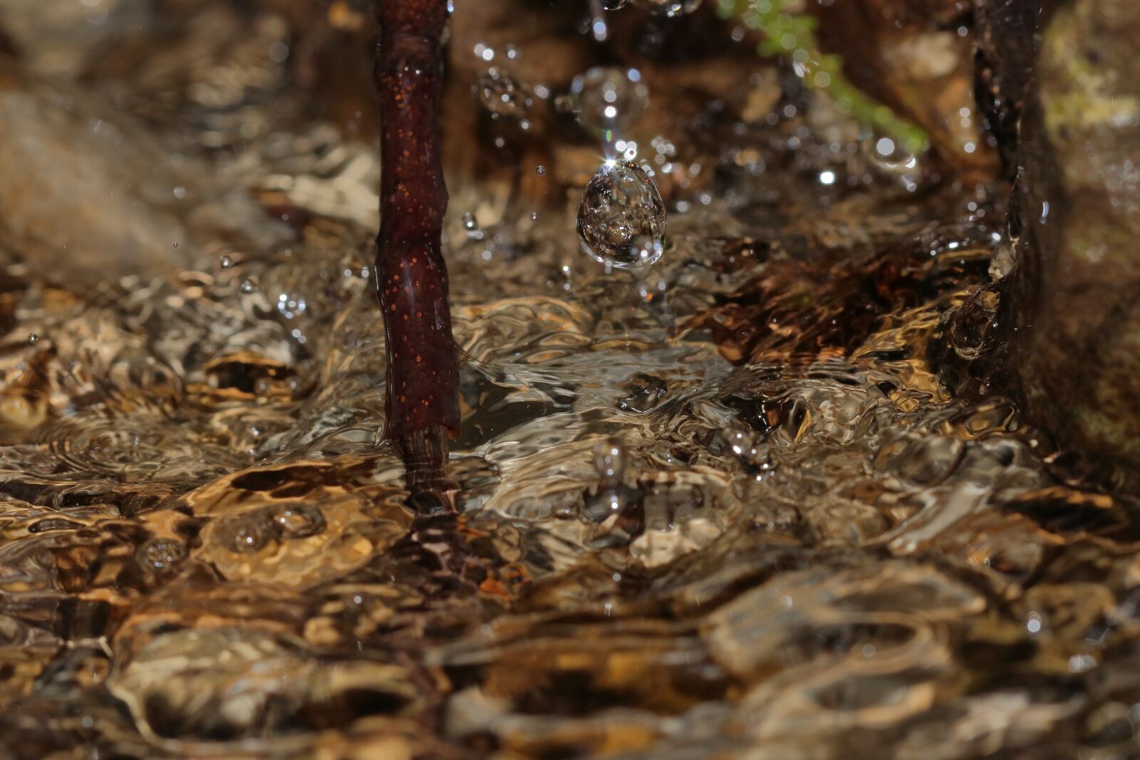 Canon EOS 77D (EOS 9000D / EOS 770D) + Canon EF 100mm F2.8 Macro USM sample photo. Drop of water, water photography