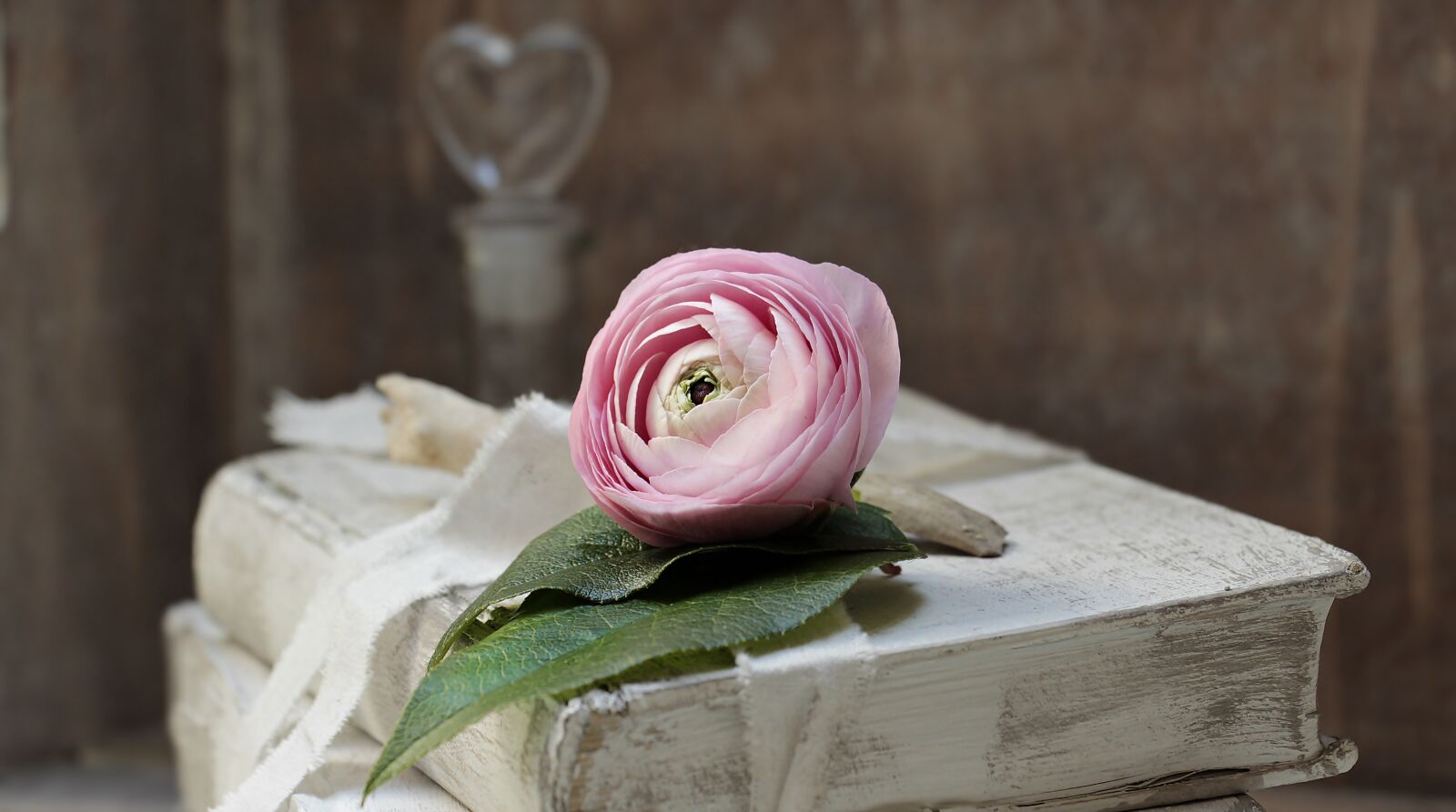 Canon EOS 100D (EOS Rebel SL1 / EOS Kiss X7) sample photo. Books, old, romance photography