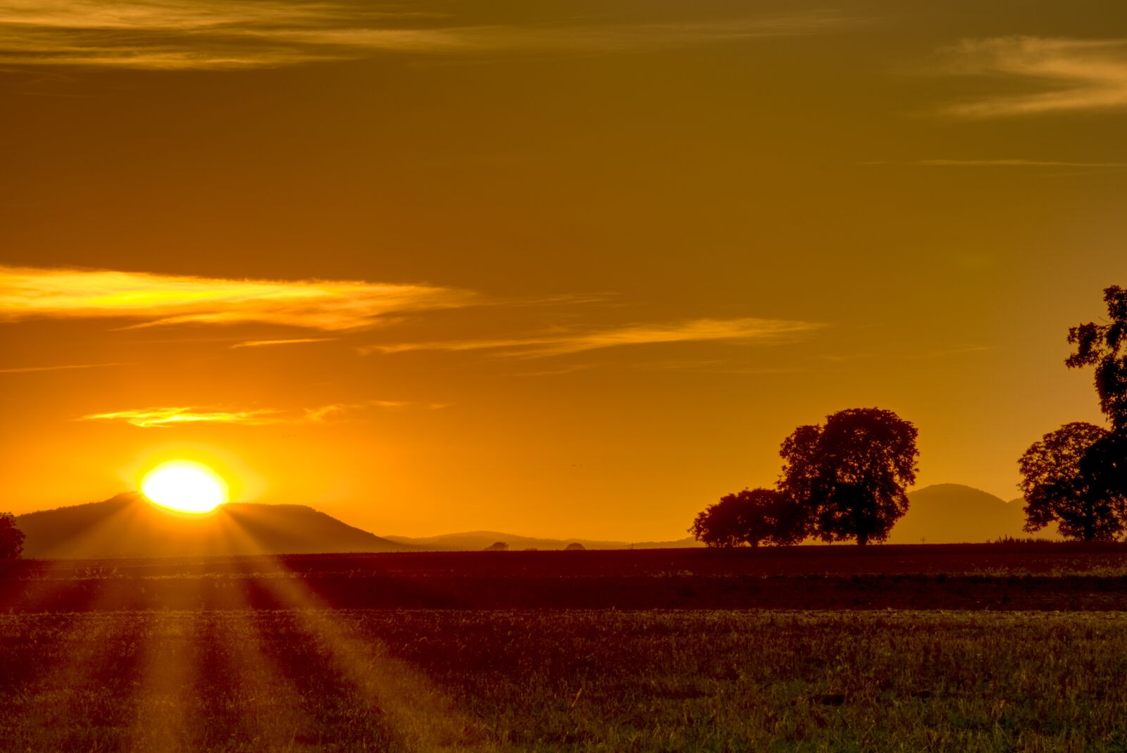 Sony a6000 sample photo. Sunset, sun, light star photography