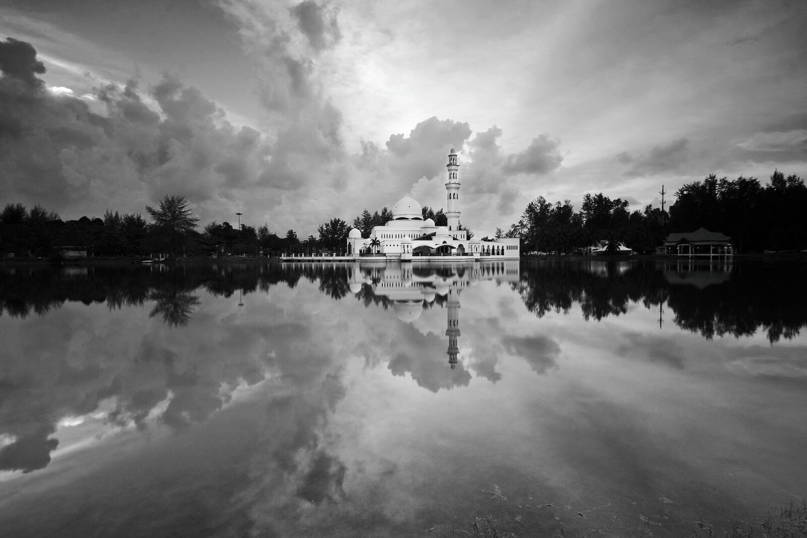 Canon EOS 50D sample photo. Black, white, black and photography