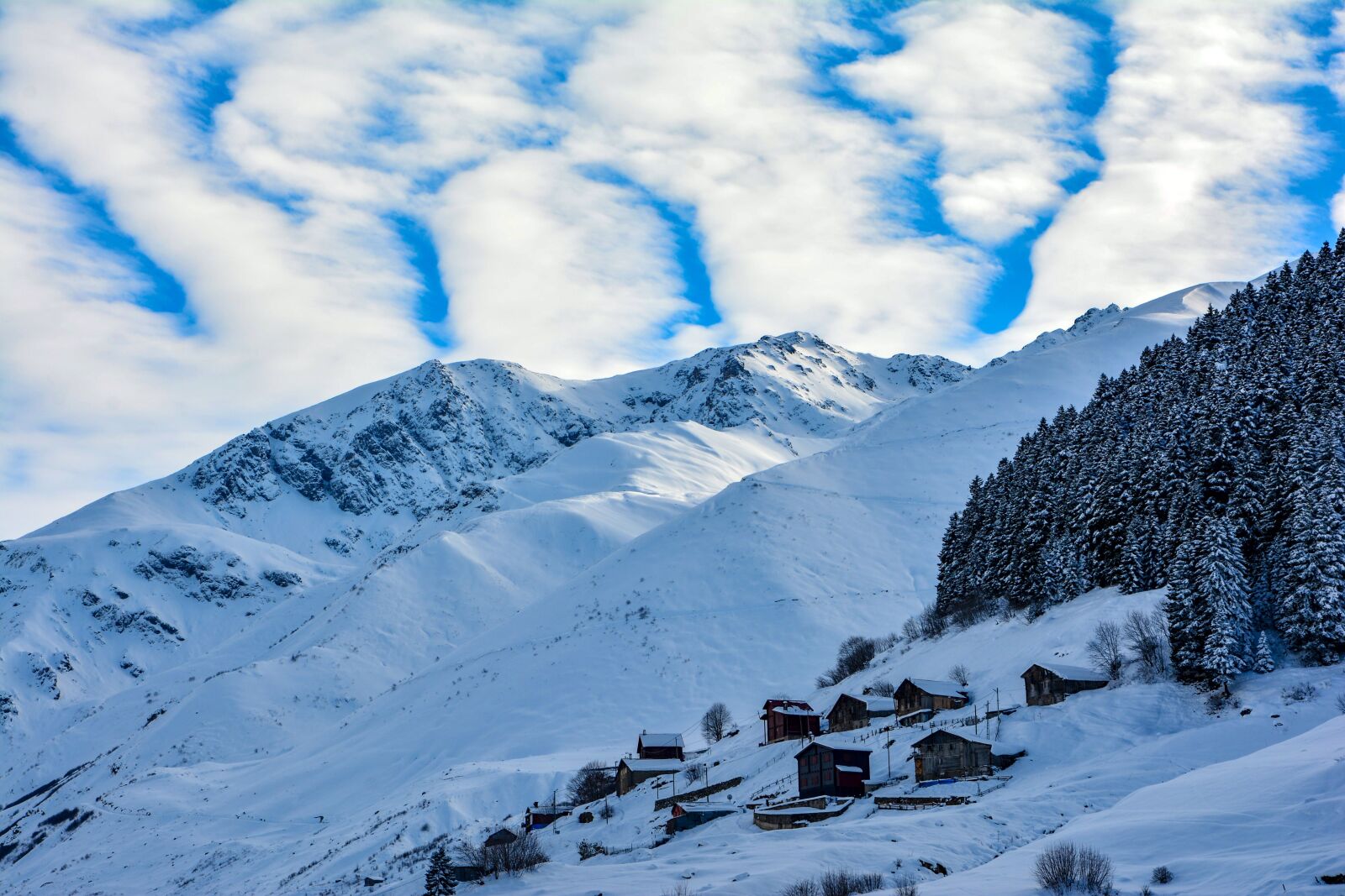 Nikon D7100 sample photo. Snow, mountain, forest photography