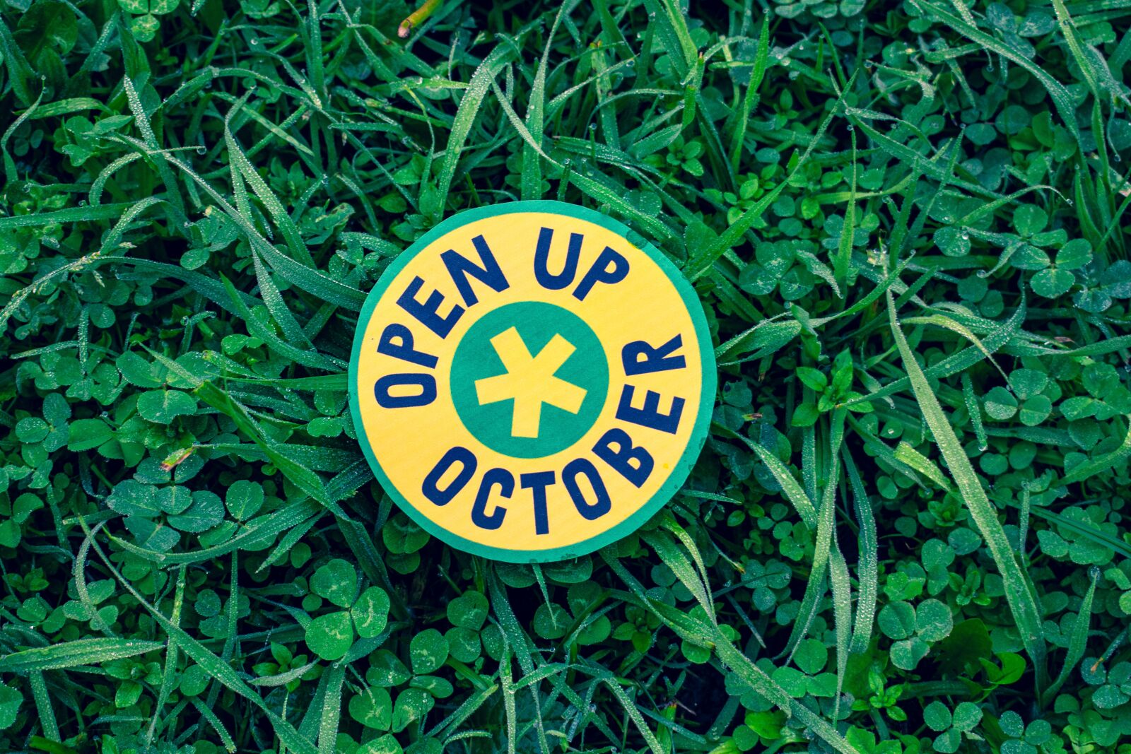 Nikon D3400 sample photo. Logo, mental health, open photography