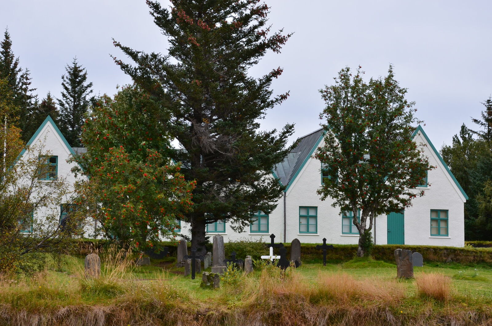 Nikon D5100 sample photo