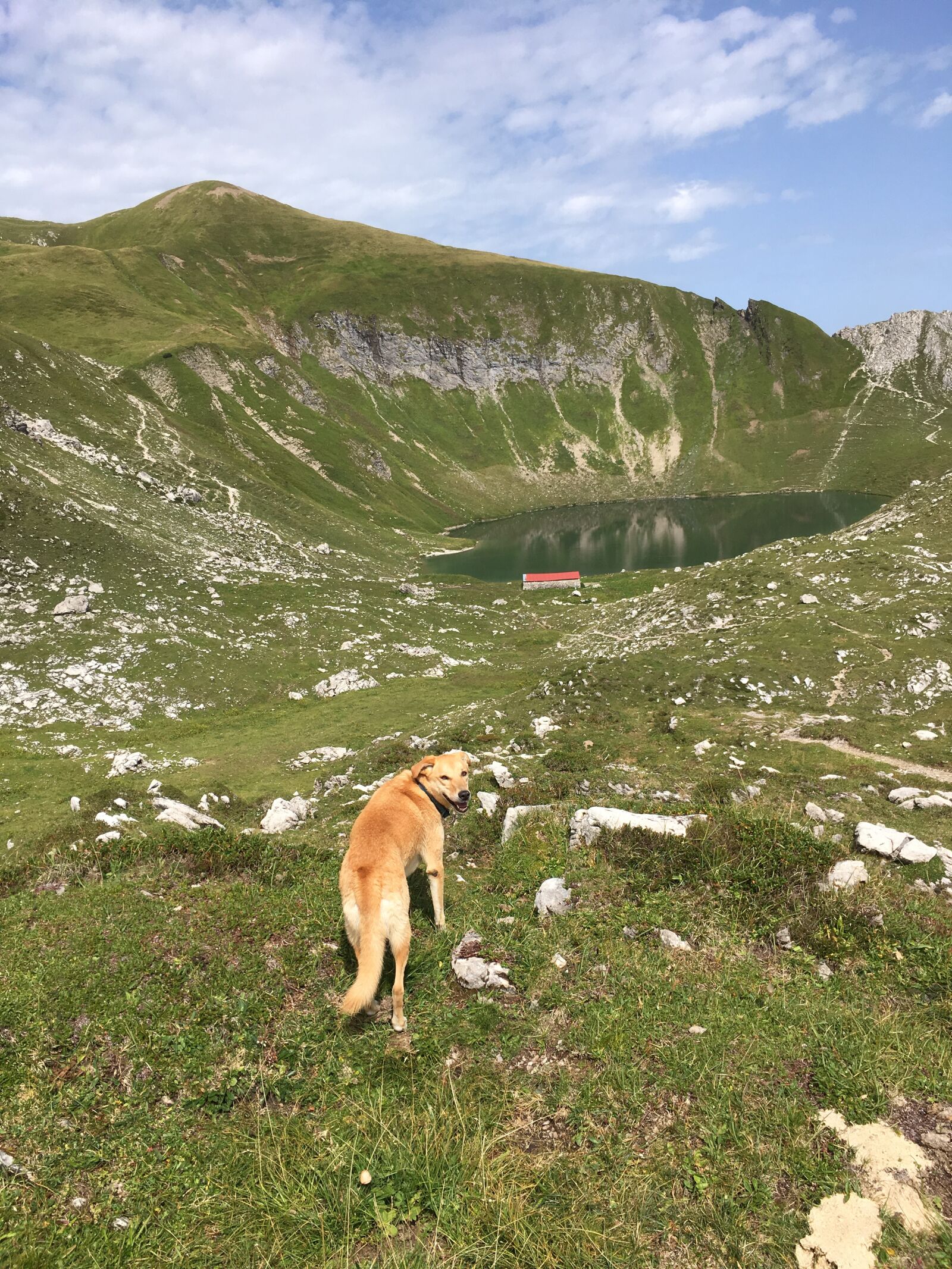 iPhone SE back camera 4.15mm f/2.2 sample photo. Wandern, allgäu, oberstdorf photography