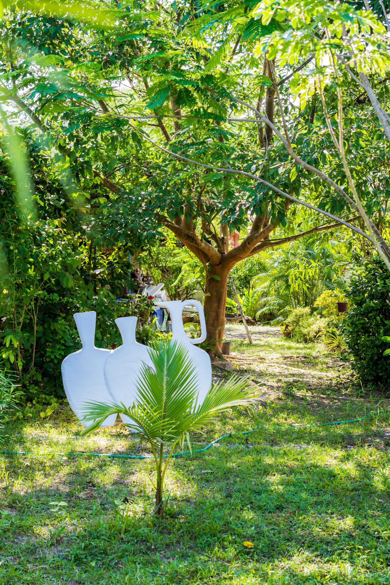 Nikon D5200 sample photo. Garden, nature, horticulture photography
