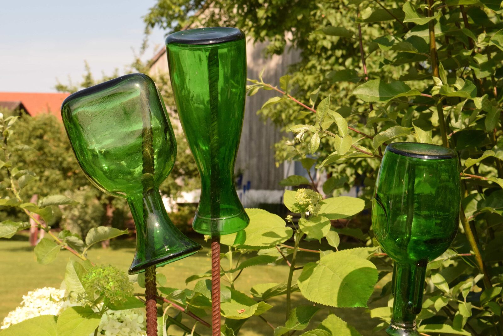 Nikon D3300 sample photo. Glass, bottle, leaf, garden photography