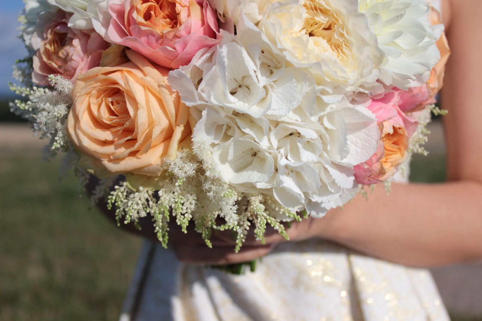 Canon EOS 600D (Rebel EOS T3i / EOS Kiss X5) sample photo. Wedding, flower, david austin photography