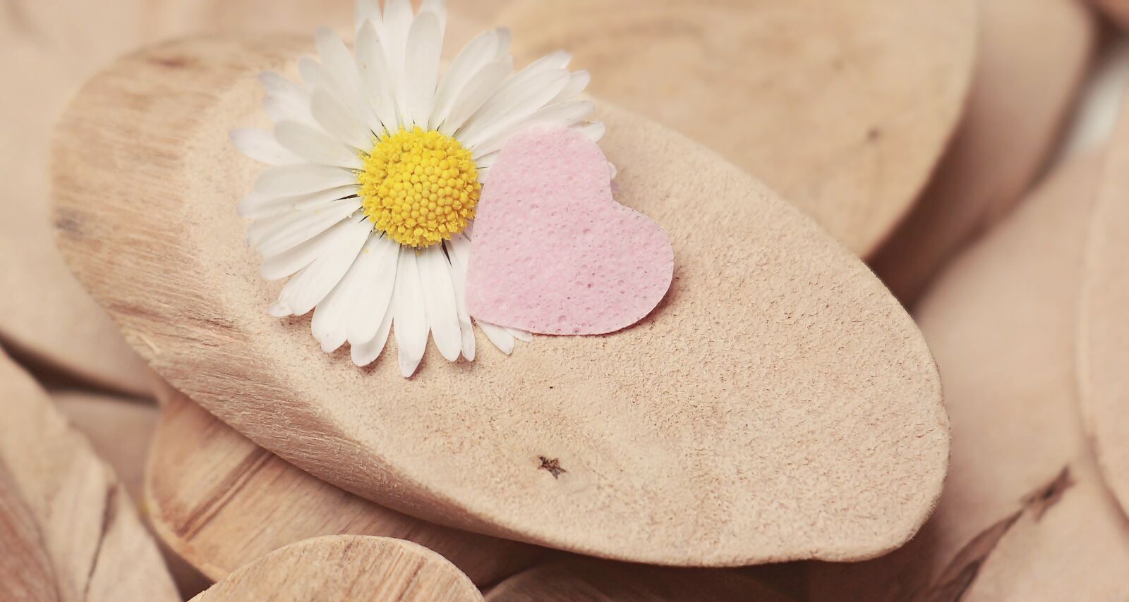 Canon EOS 100D (EOS Rebel SL1 / EOS Kiss X7) sample photo. Daisy, heart, herzchen photography