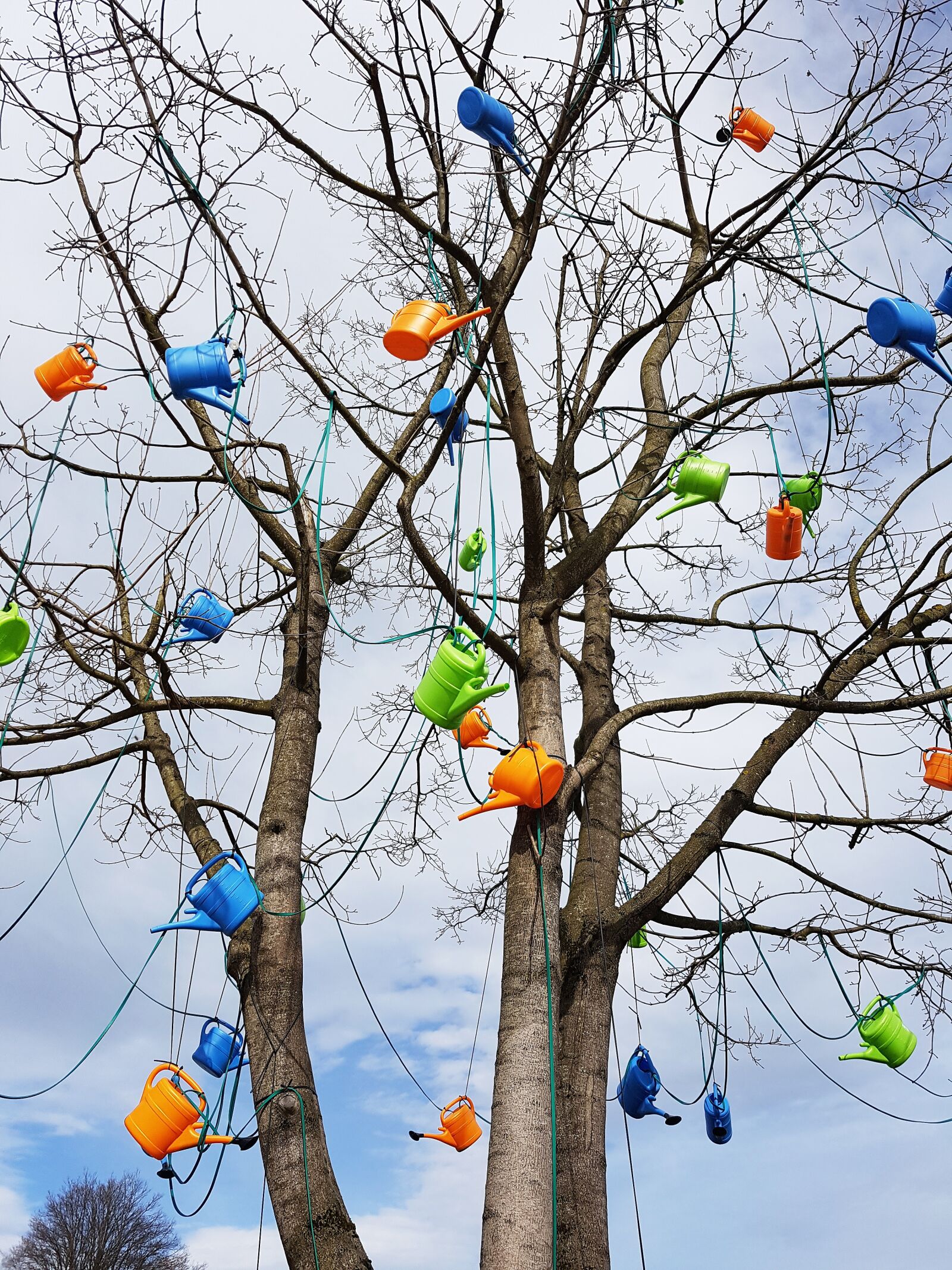 Samsung Galaxy S7 Edge sample photo. Watering cans, advertising, lined photography