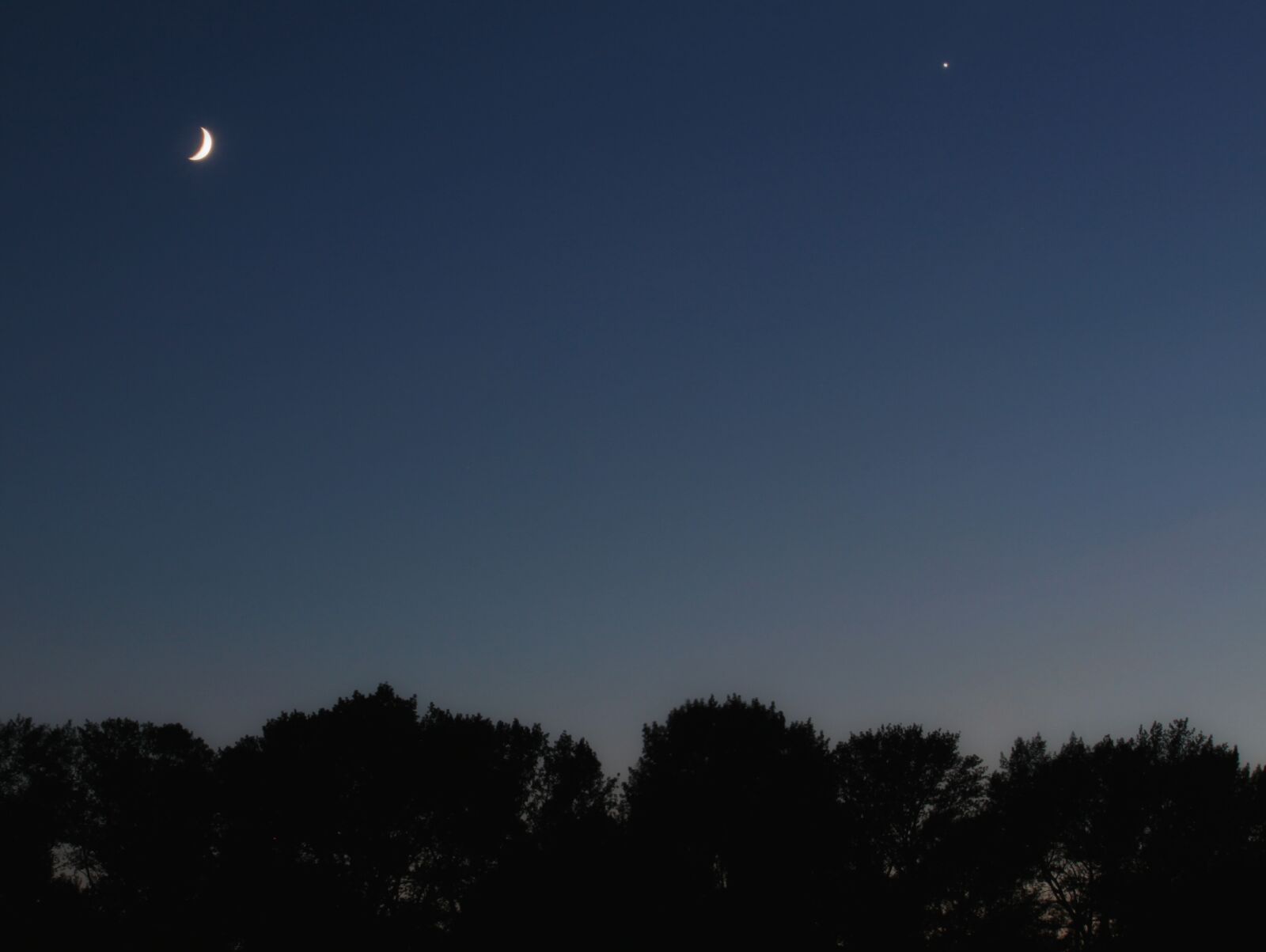 Canon EOS 500D (EOS Rebel T1i / EOS Kiss X3) sample photo. Moon, night, sky photography