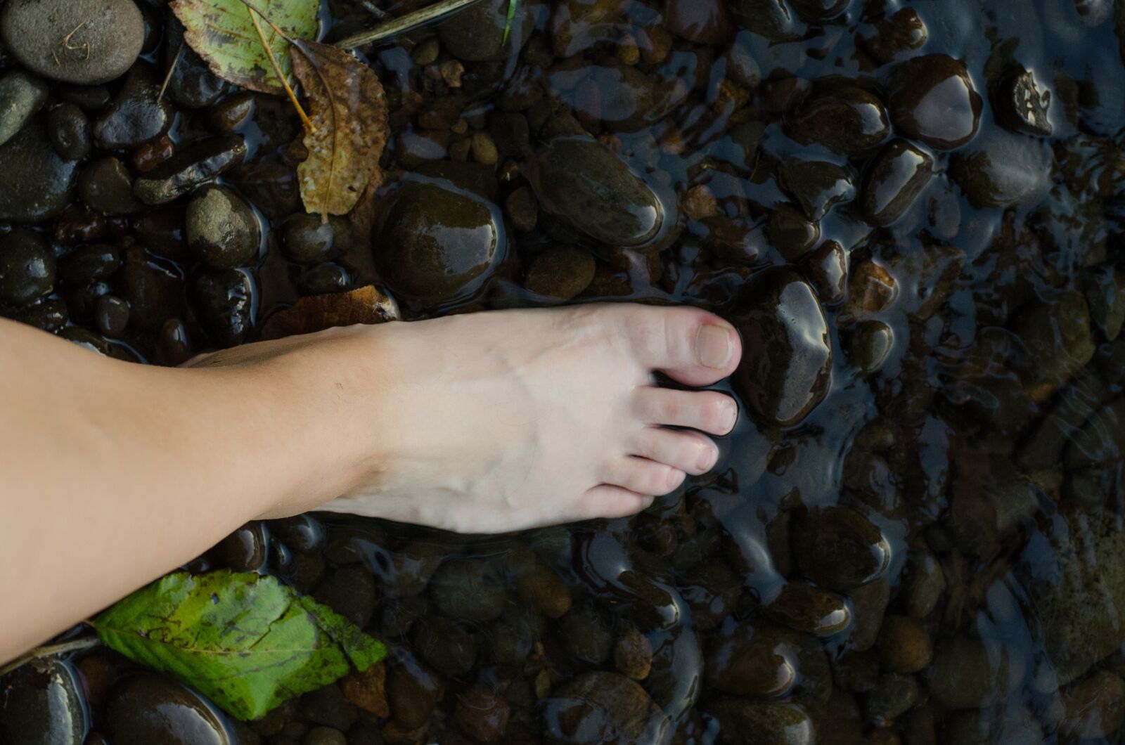 Nikon D7000 sample photo. Barefoot, foot, creek photography