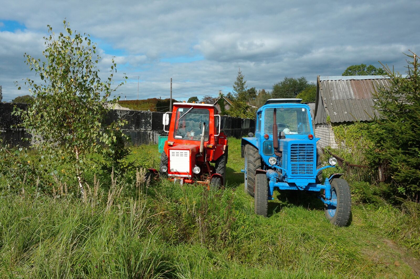 Sony Alpha NEX-3N sample photo. Tractor blue, field, young photography