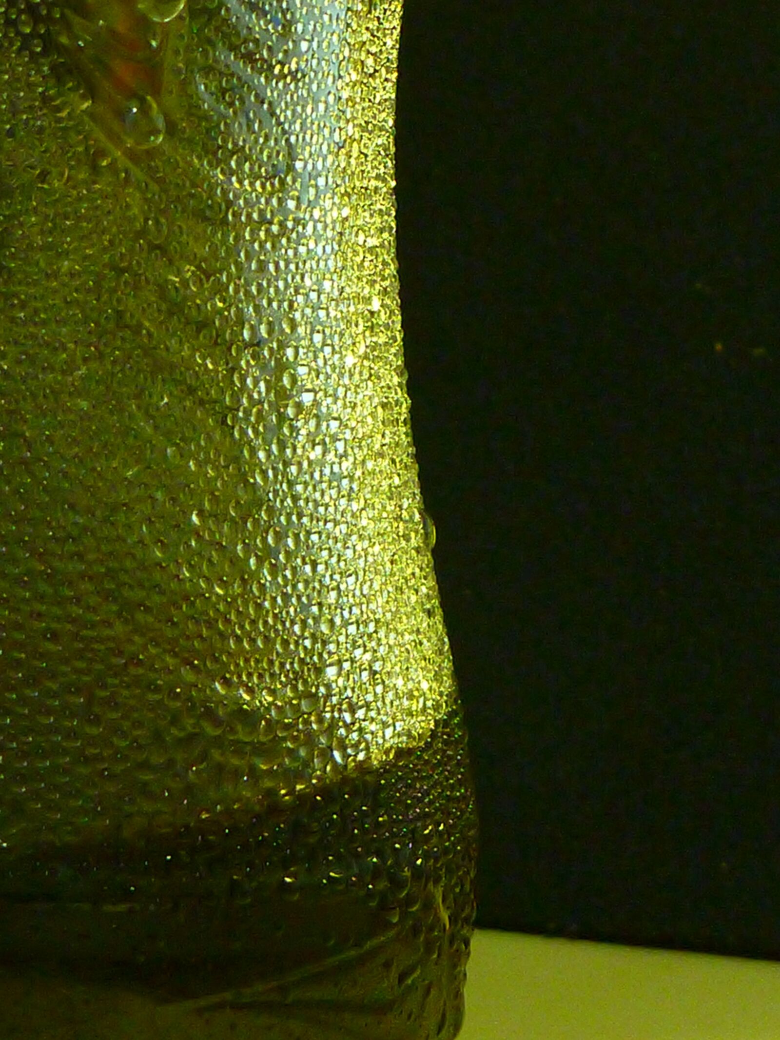 Panasonic DMC-FT4 sample photo. Bottle, droplets, macro photography