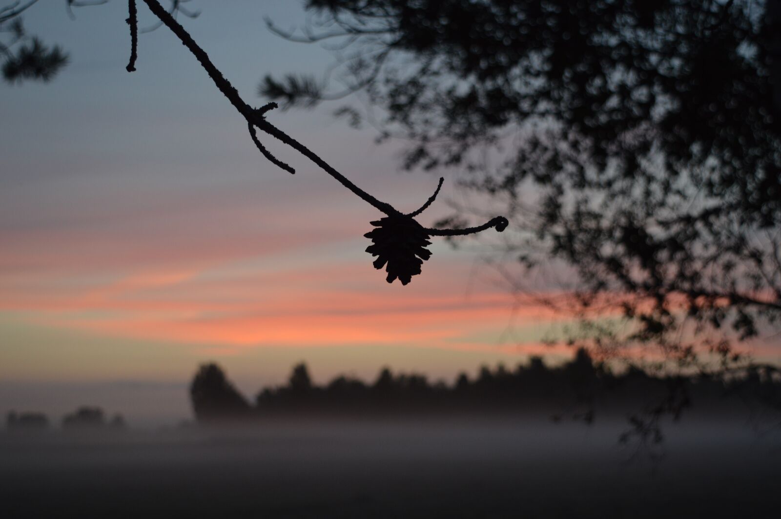 Nikon D3200 sample photo. Sunset, dusk, nature photography