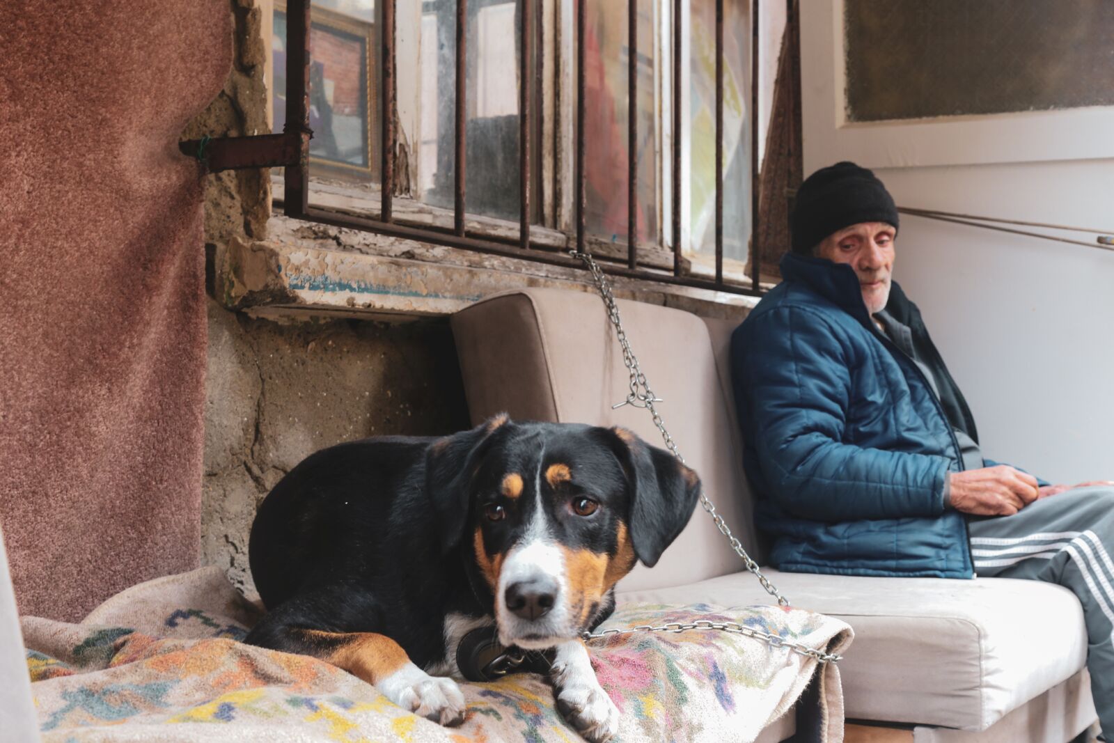 Canon EOS 6D + Canon EF 24-105mm F4L IS USM sample photo. Old man, dog, elderly photography