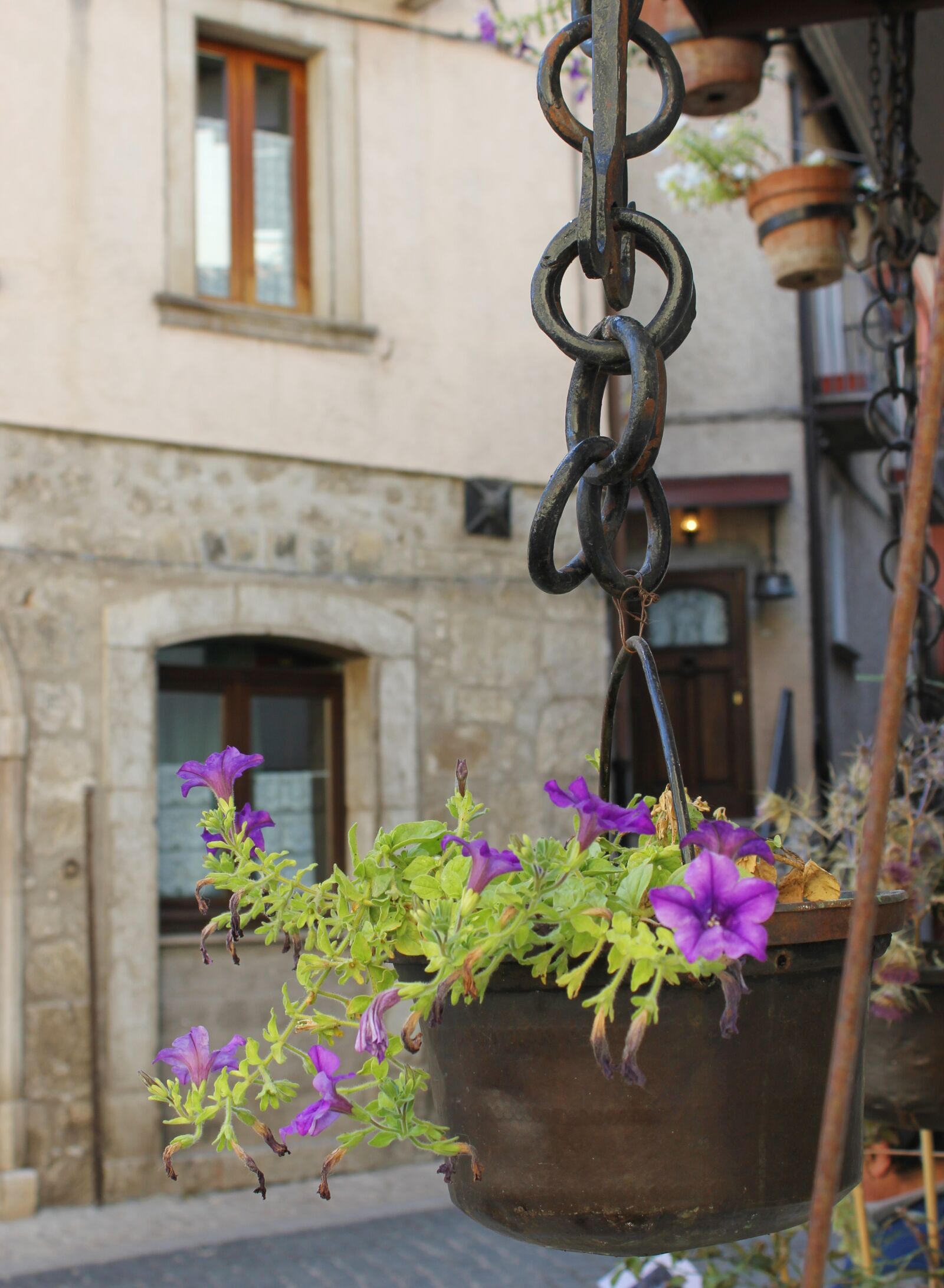 Canon EOS 550D (EOS Rebel T2i / EOS Kiss X4) sample photo. Flowers, ancient, decoration photography
