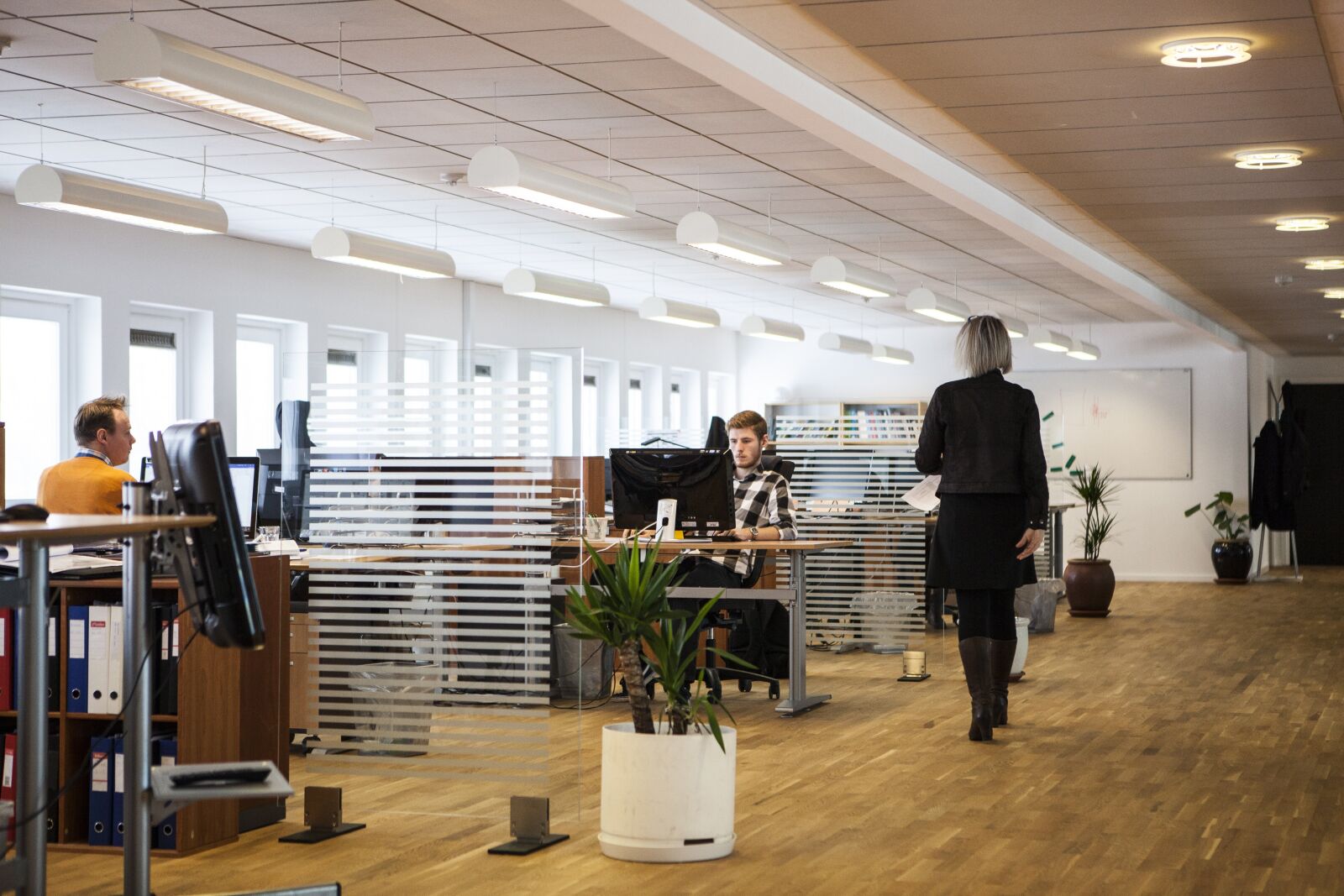 Canon EOS 5D Mark II sample photo. Office, business, company photography