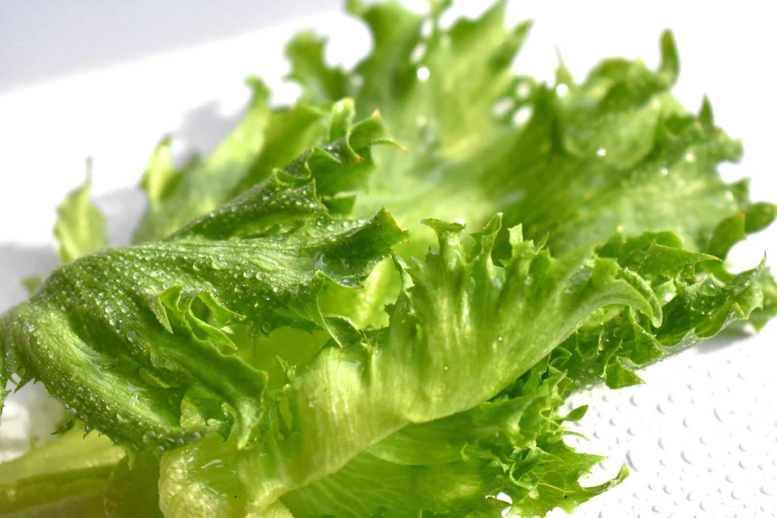 Nikon D3400 sample photo. Salad, green, nutrition photography