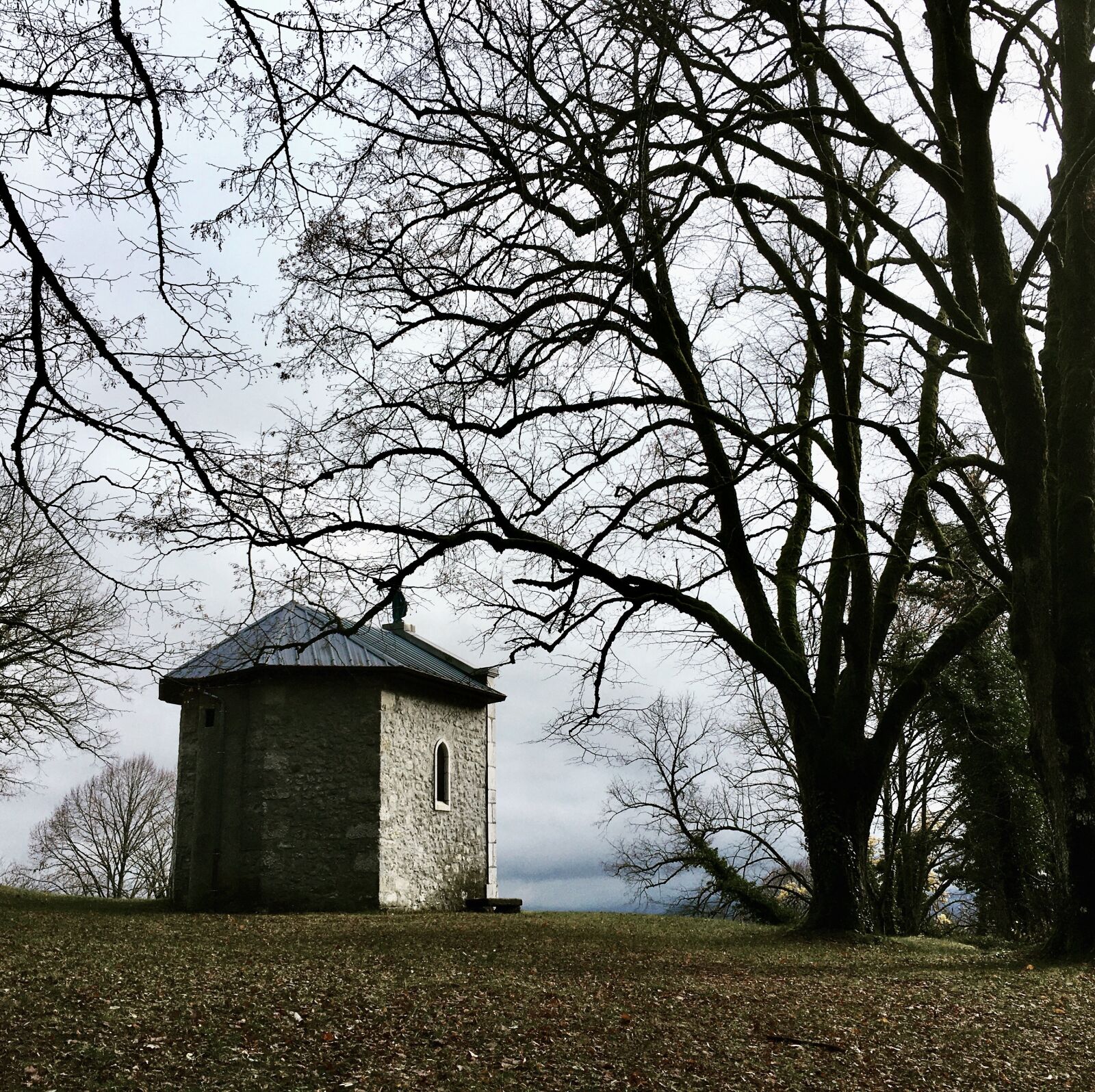 Apple iPhone 6s sample photo. Chapel, field, fall photography