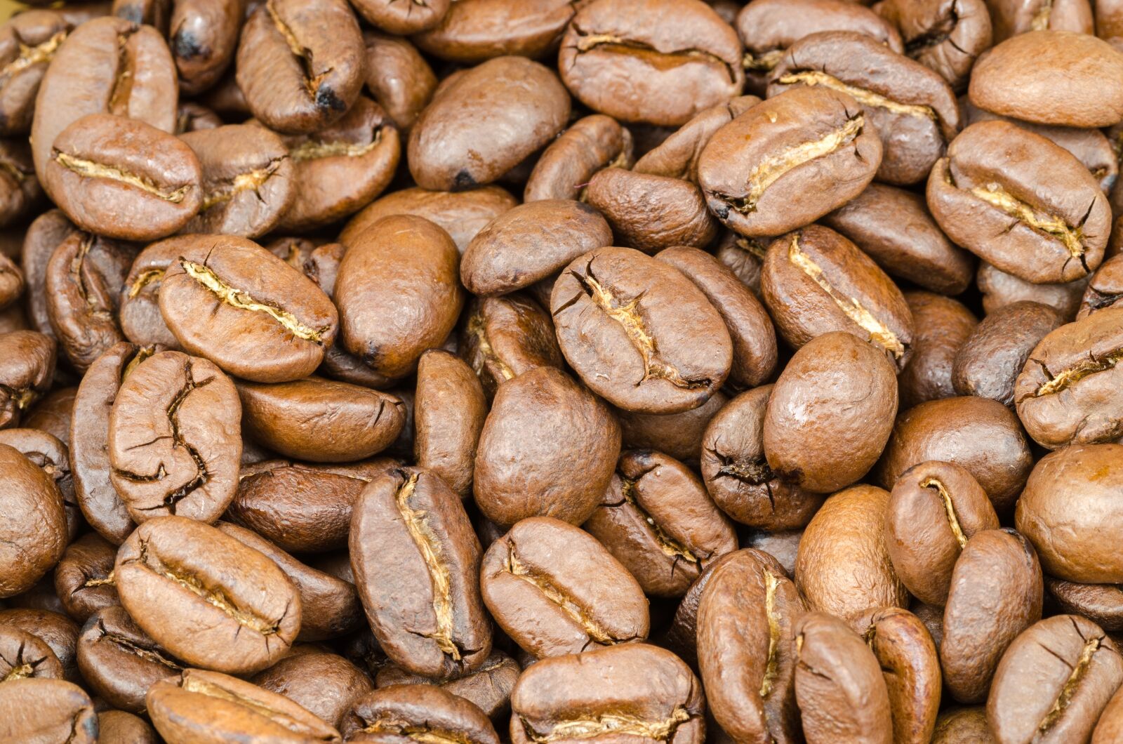 Nikon D5100 sample photo. Coffee, brown, caffeine photography