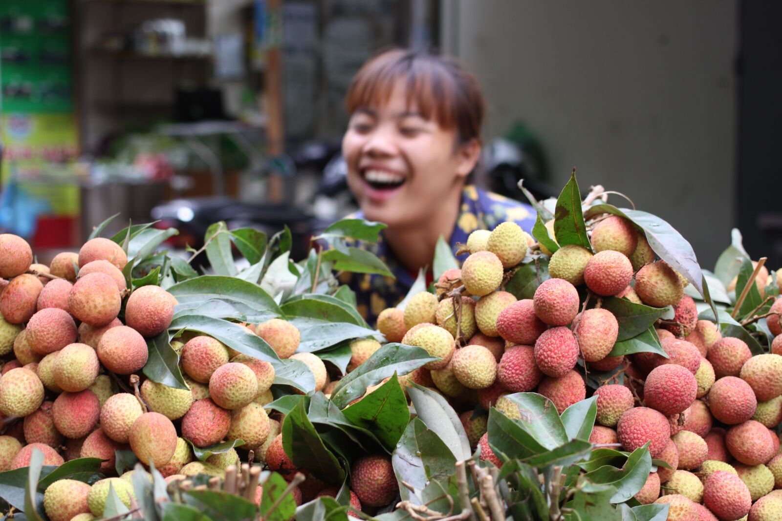 Canon EOS 500D (EOS Rebel T1i / EOS Kiss X3) sample photo. Asia, market, vietnam photography