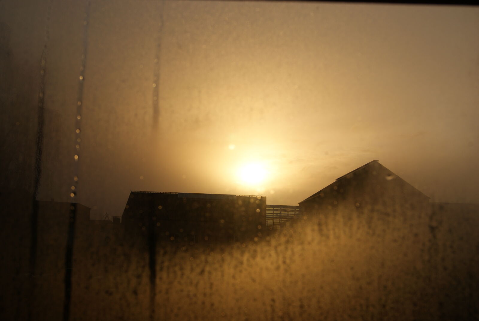 Sony Alpha DSLR-A230 sample photo. Building, dew, silhouette, sun photography