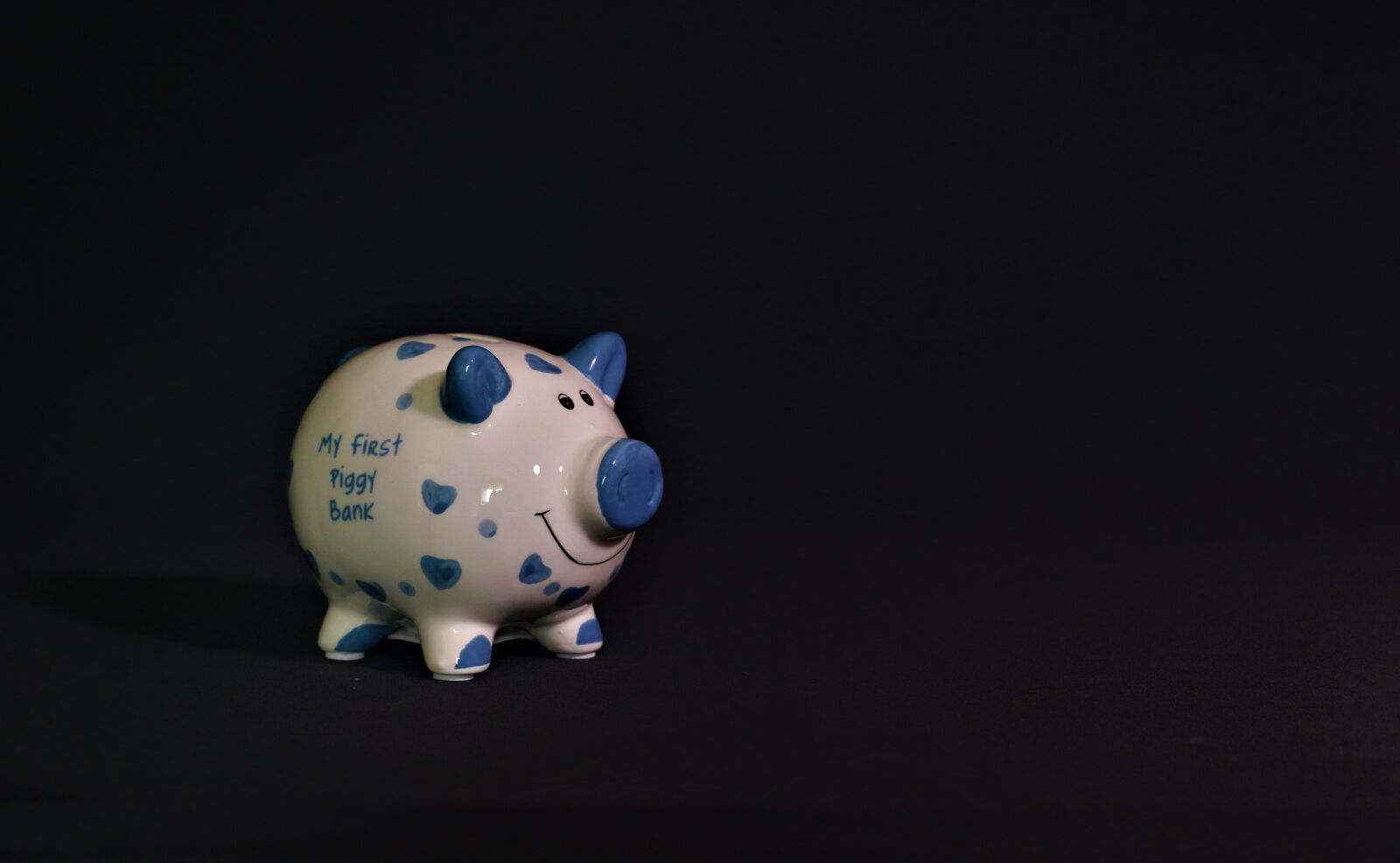 Canon EOS 7D Mark II sample photo. Piggy bank, savings, cash photography