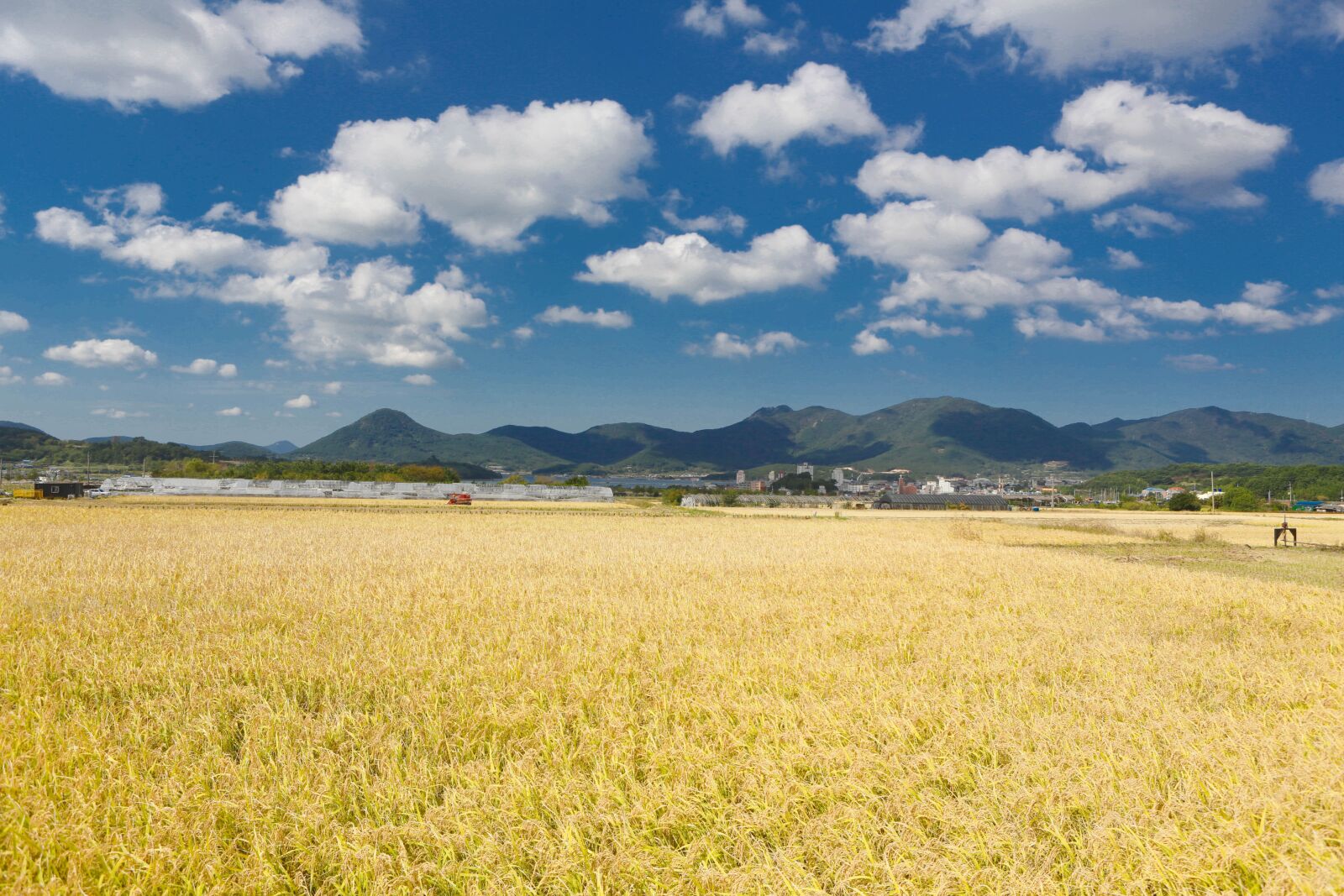 Canon EF 24-70mm F2.8L USM sample photo. Cloud, sky, nature photography