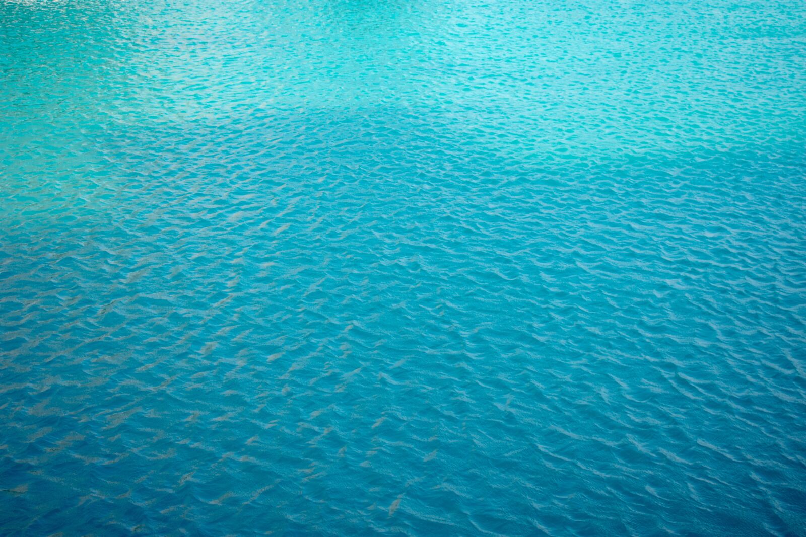 Nikon D3400 sample photo. Water, pool, swimming photography
