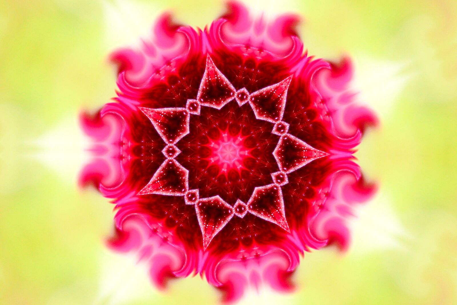 Canon EOS 600D (Rebel EOS T3i / EOS Kiss X5) sample photo. Mandala, healing, harmony photography