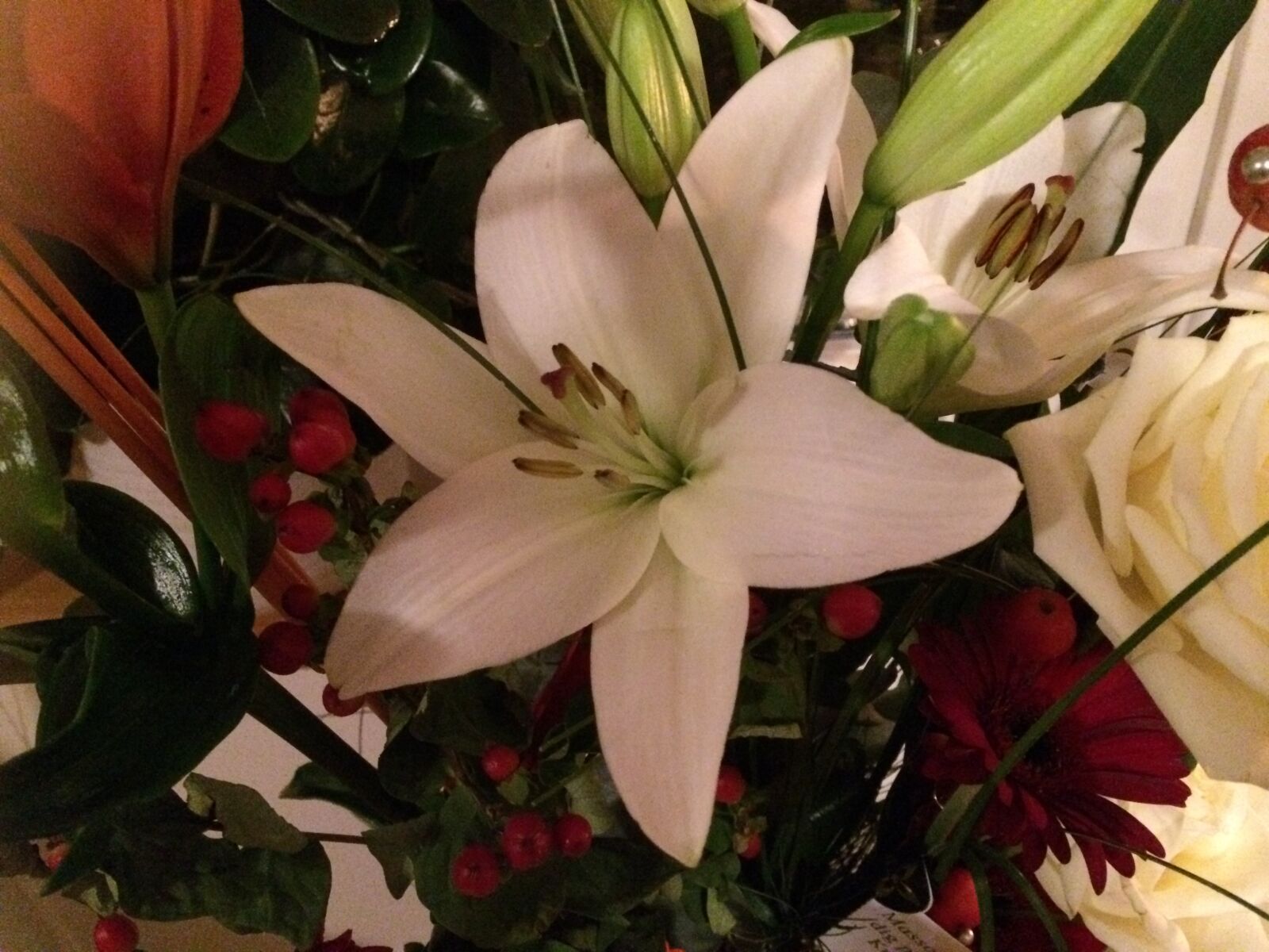iPhone 5s back camera 4.12mm f/2.2 sample photo. Amaryll, white, flower photography