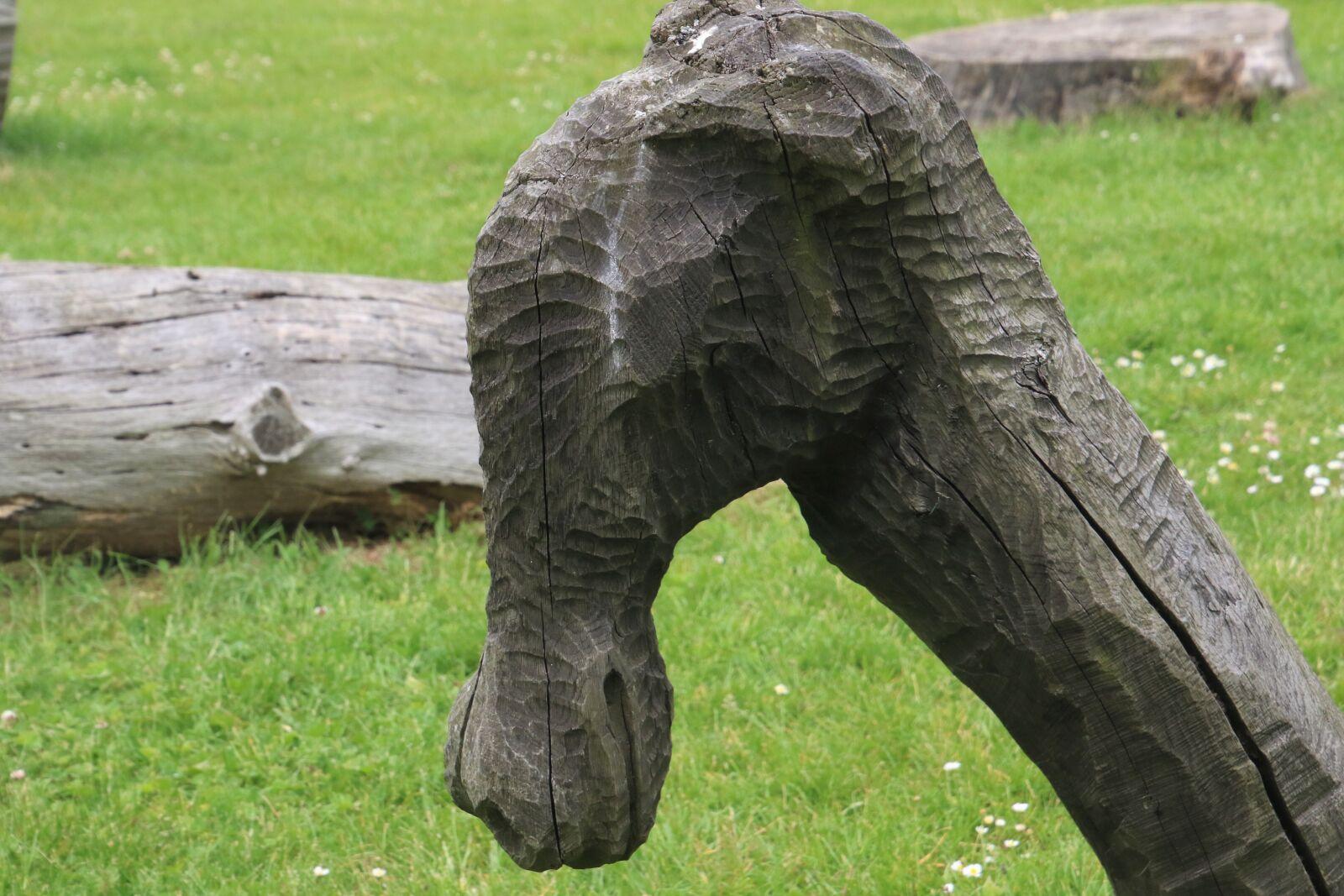 Canon EOS 7D Mark II sample photo. Carved, wood, grass, horse photography