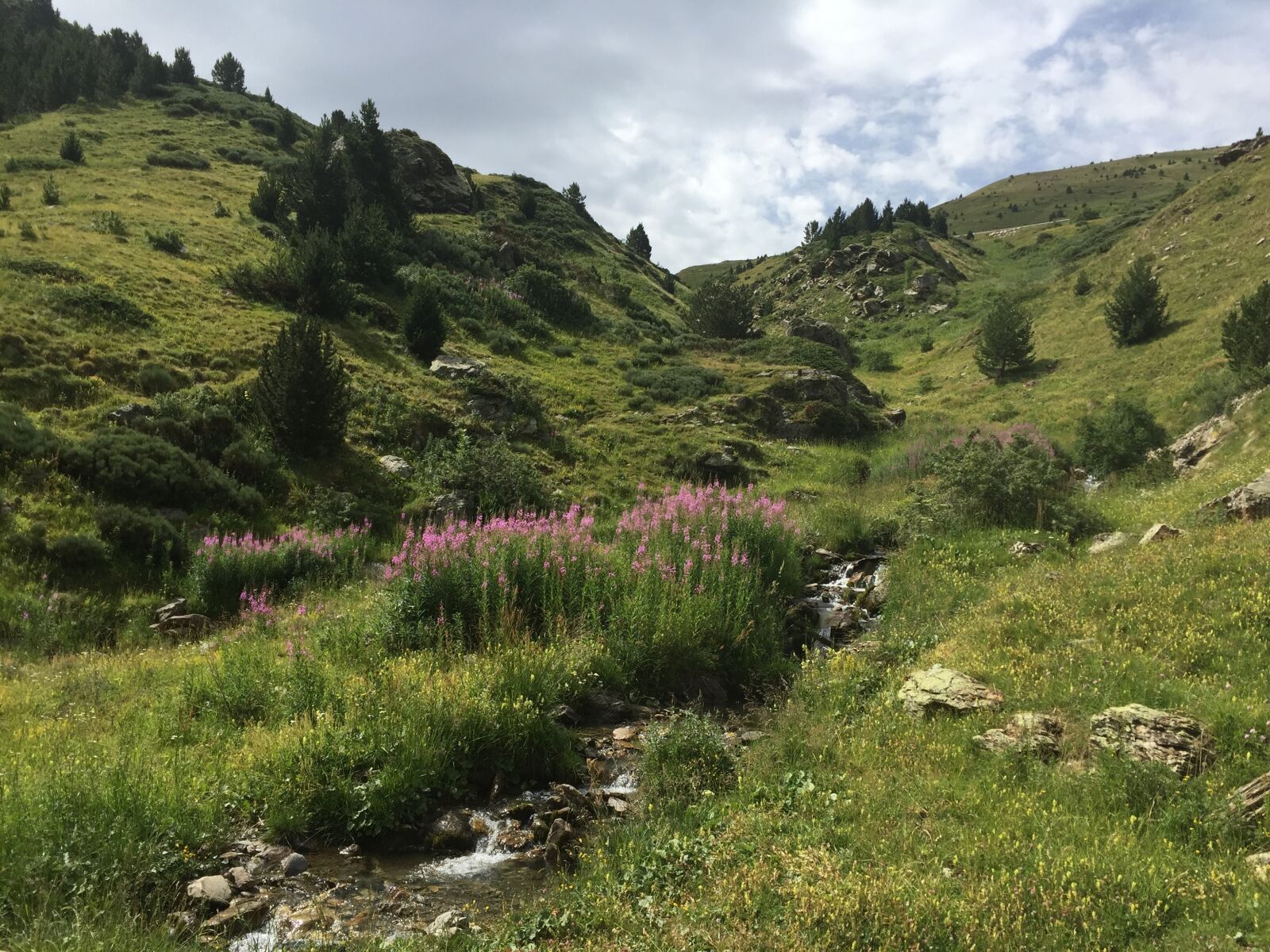 iPhone 6 back camera 4.15mm f/2.2 sample photo. Panoramic, outdoors, sky photography